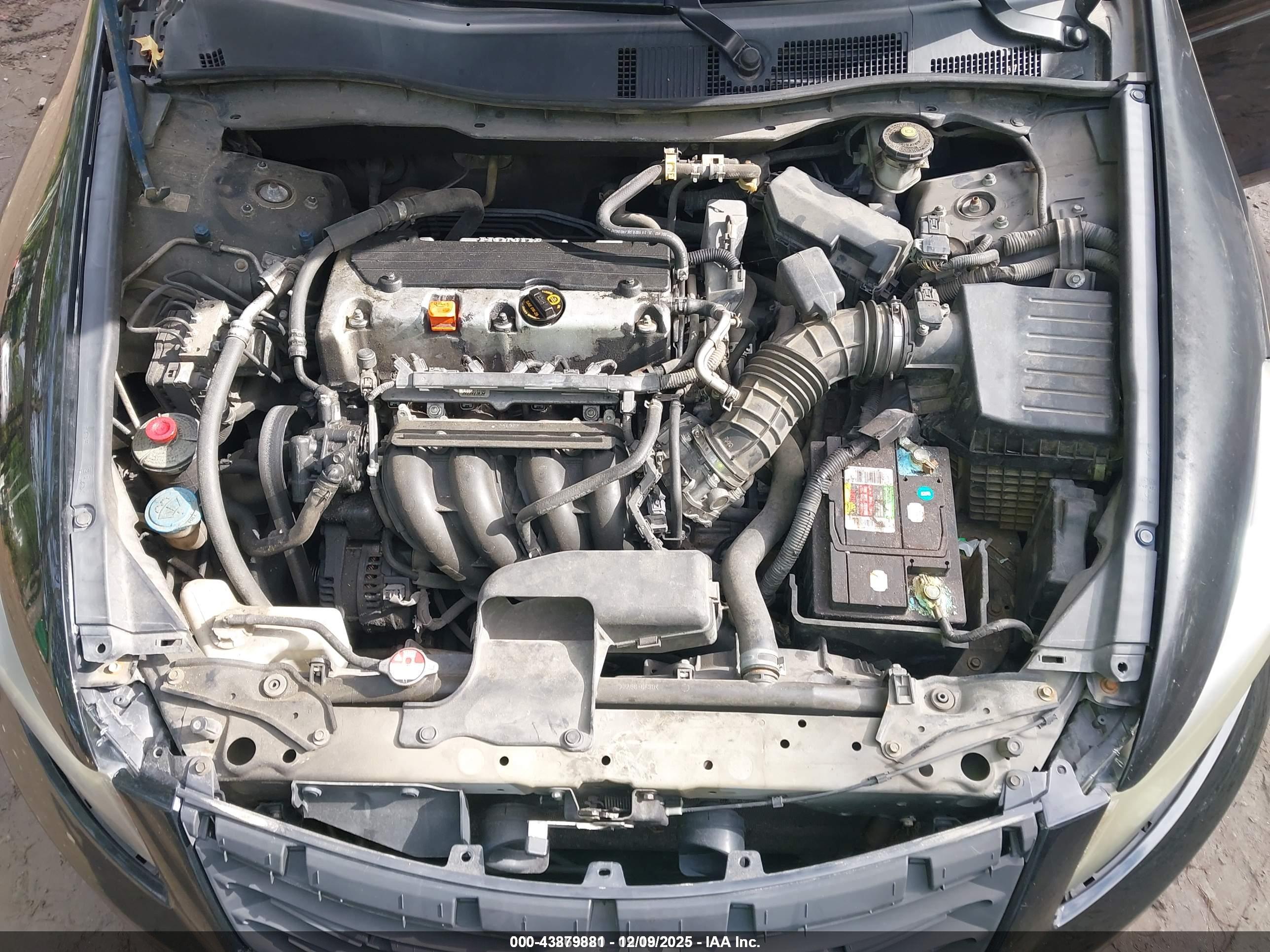 HONDA ACCORD image 10