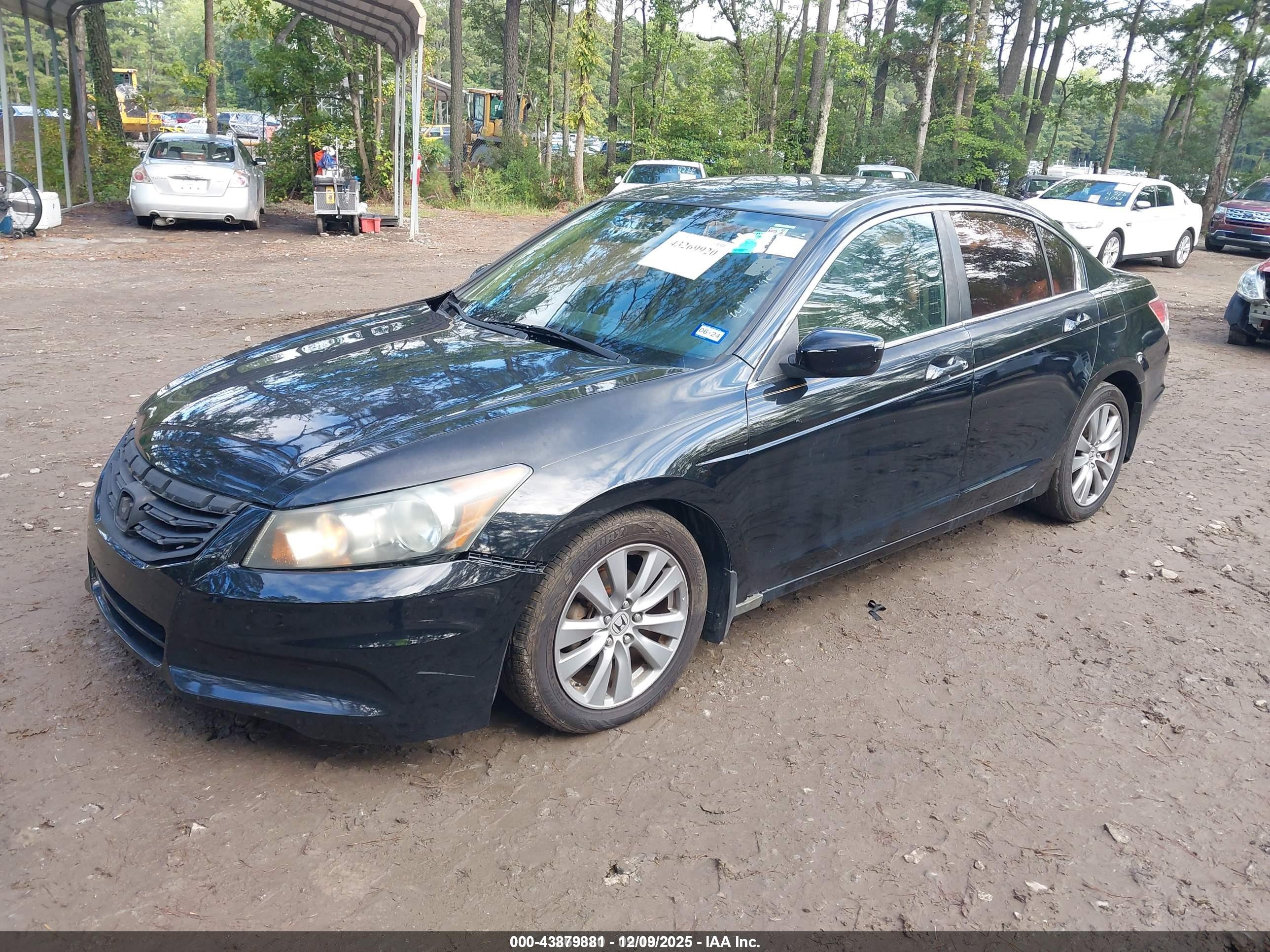 HONDA ACCORD image 2