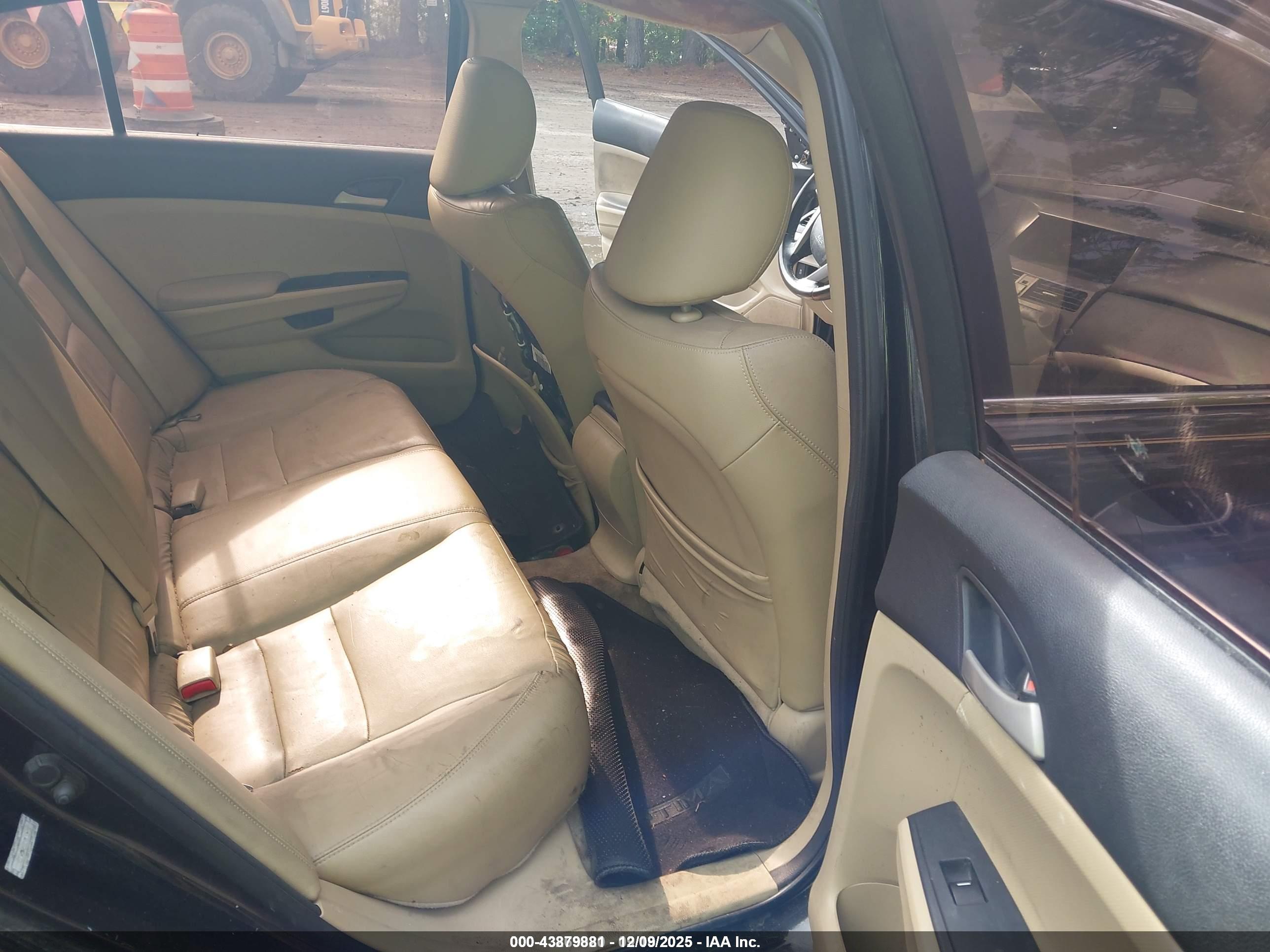 HONDA ACCORD image 8