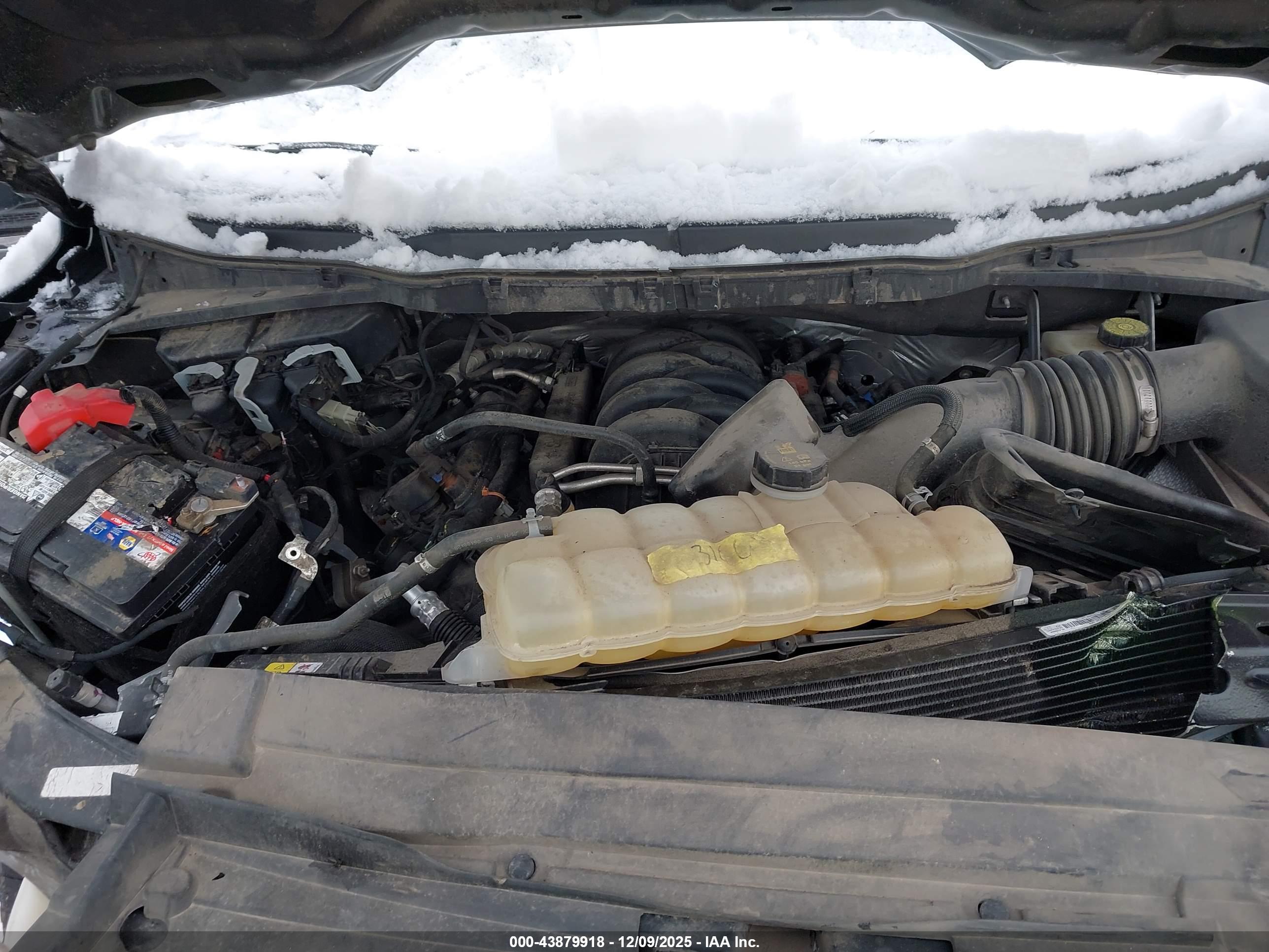 FORD F-150 image 10