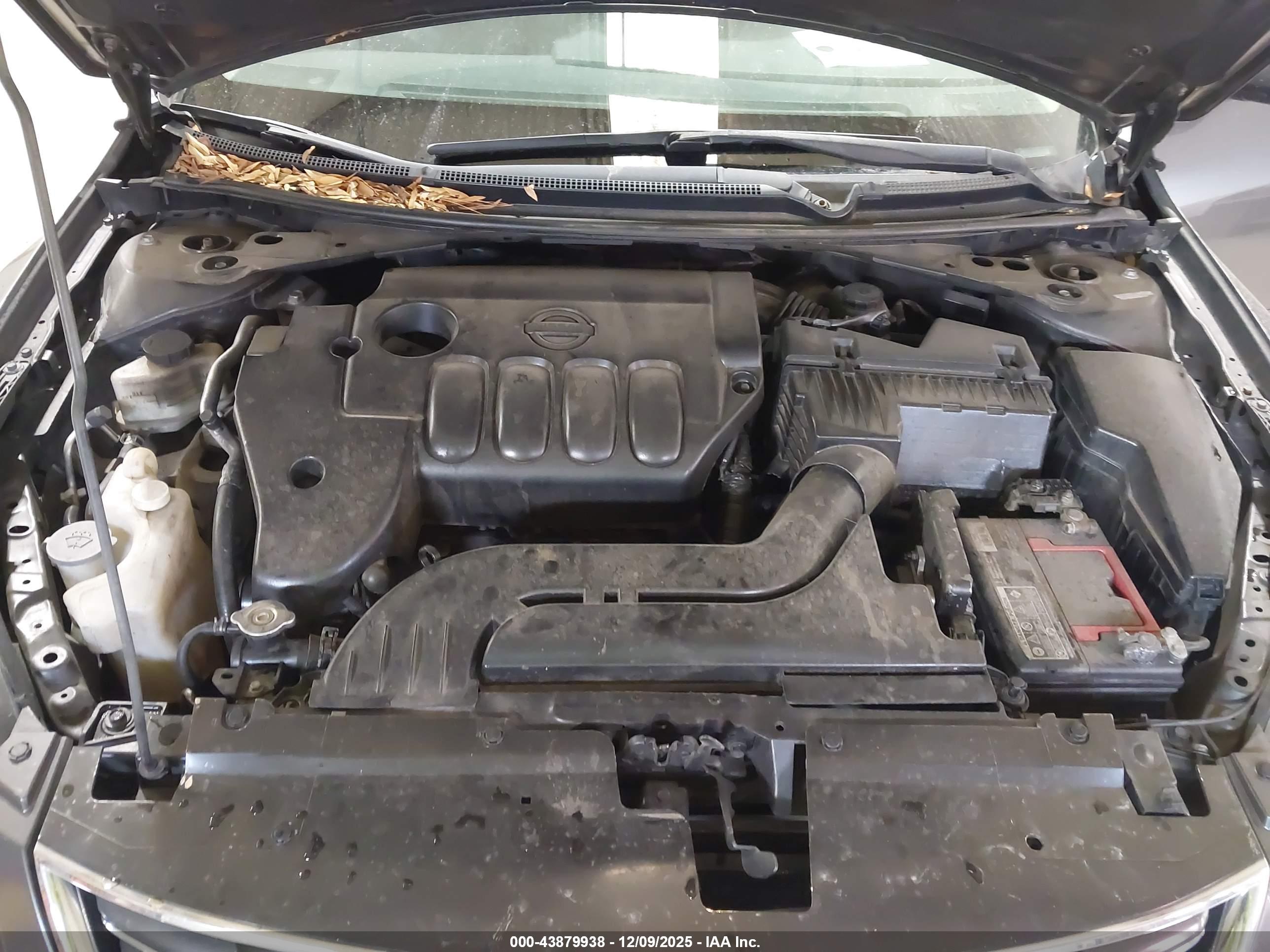 NISSAN ALTIMA image 10