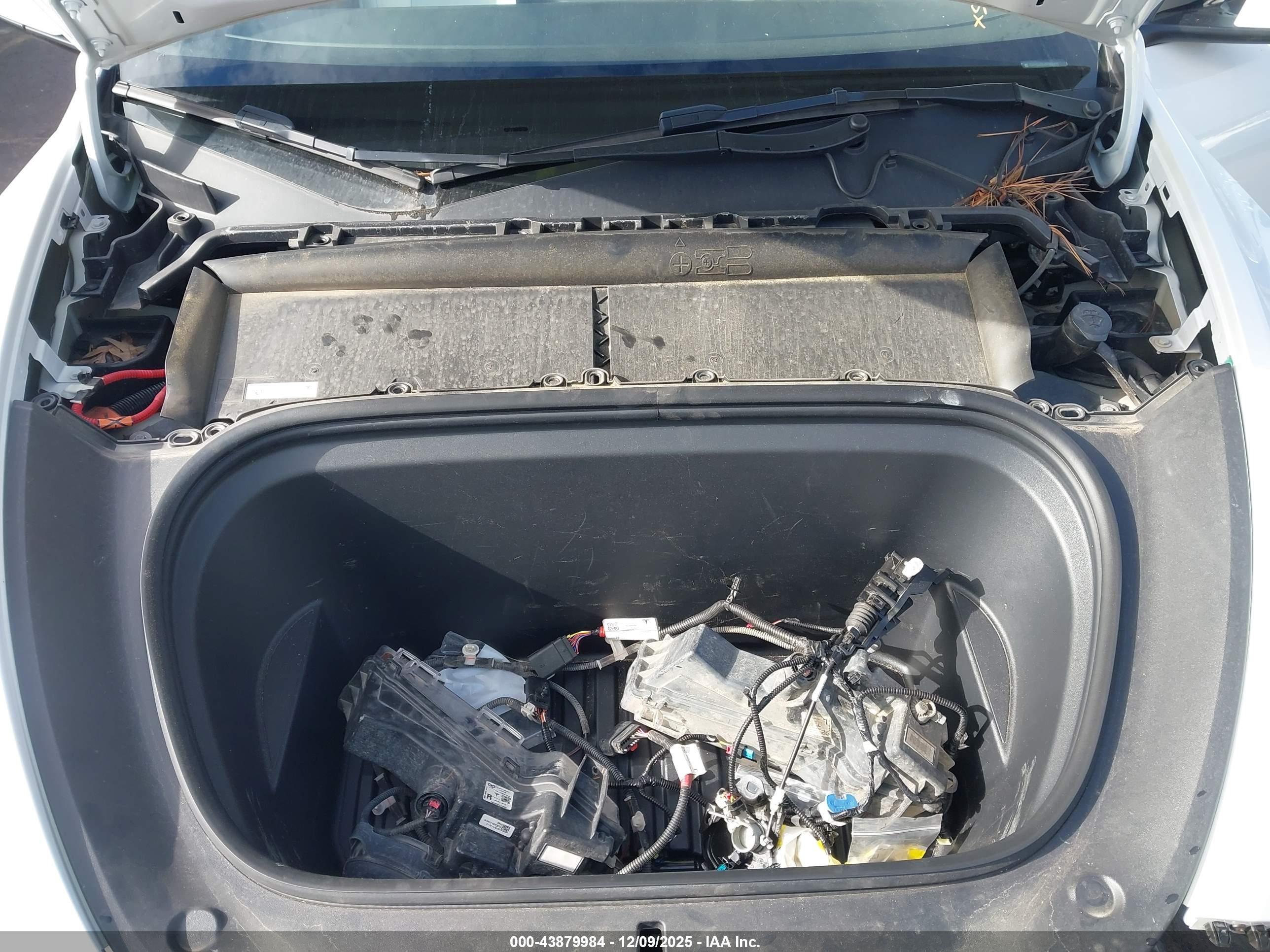 TESLA MODEL image 10