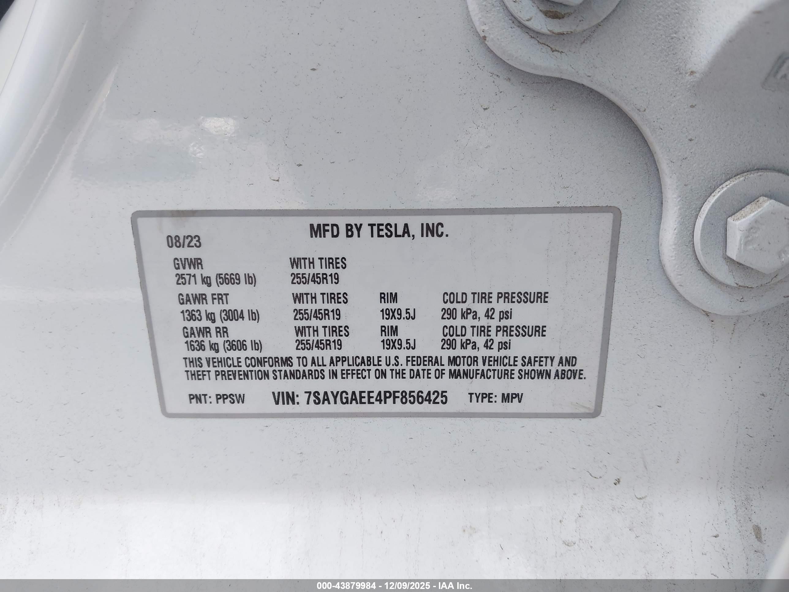 TESLA MODEL image 9