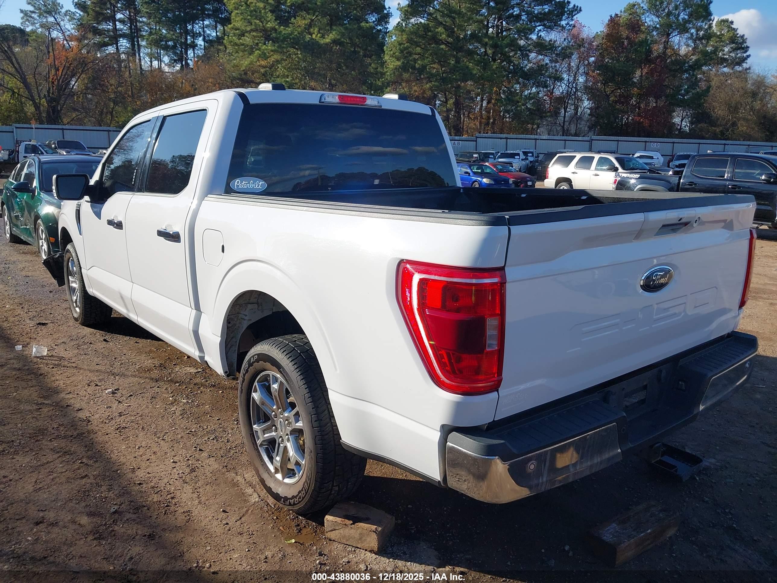 FORD F-150 image 3