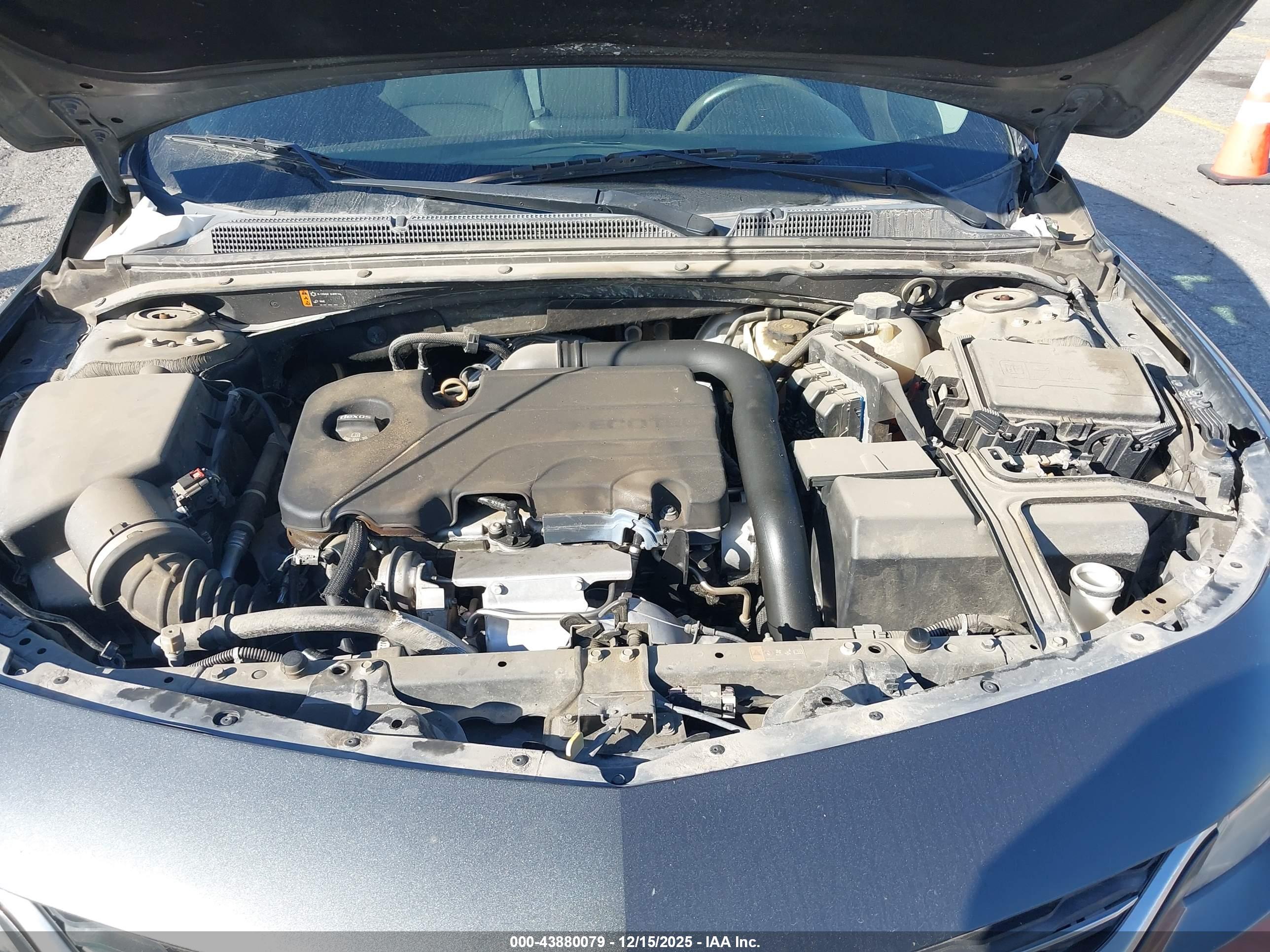 CHEVROLET MALIBU image 10