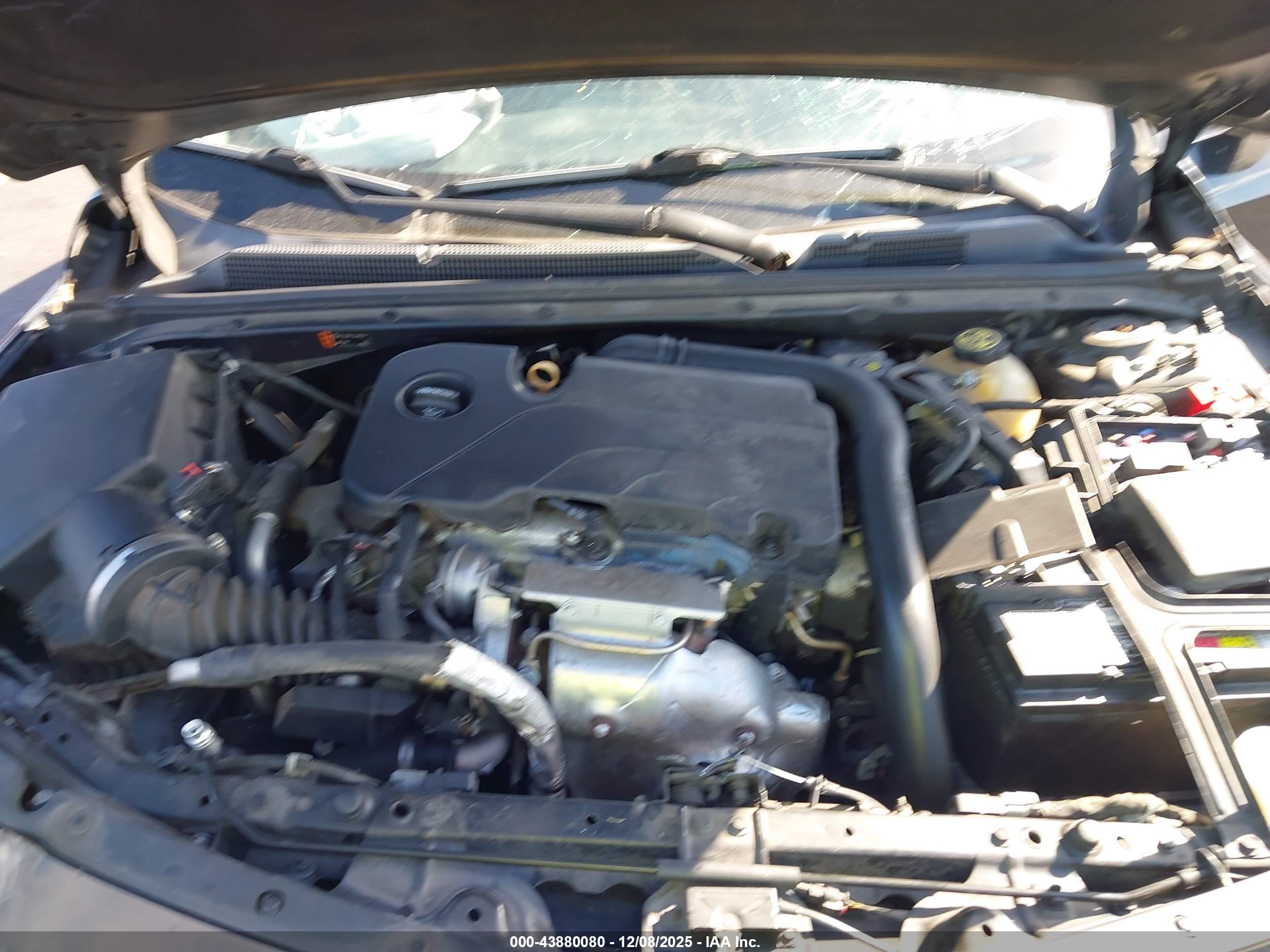 CHEVROLET MALIBU image 10