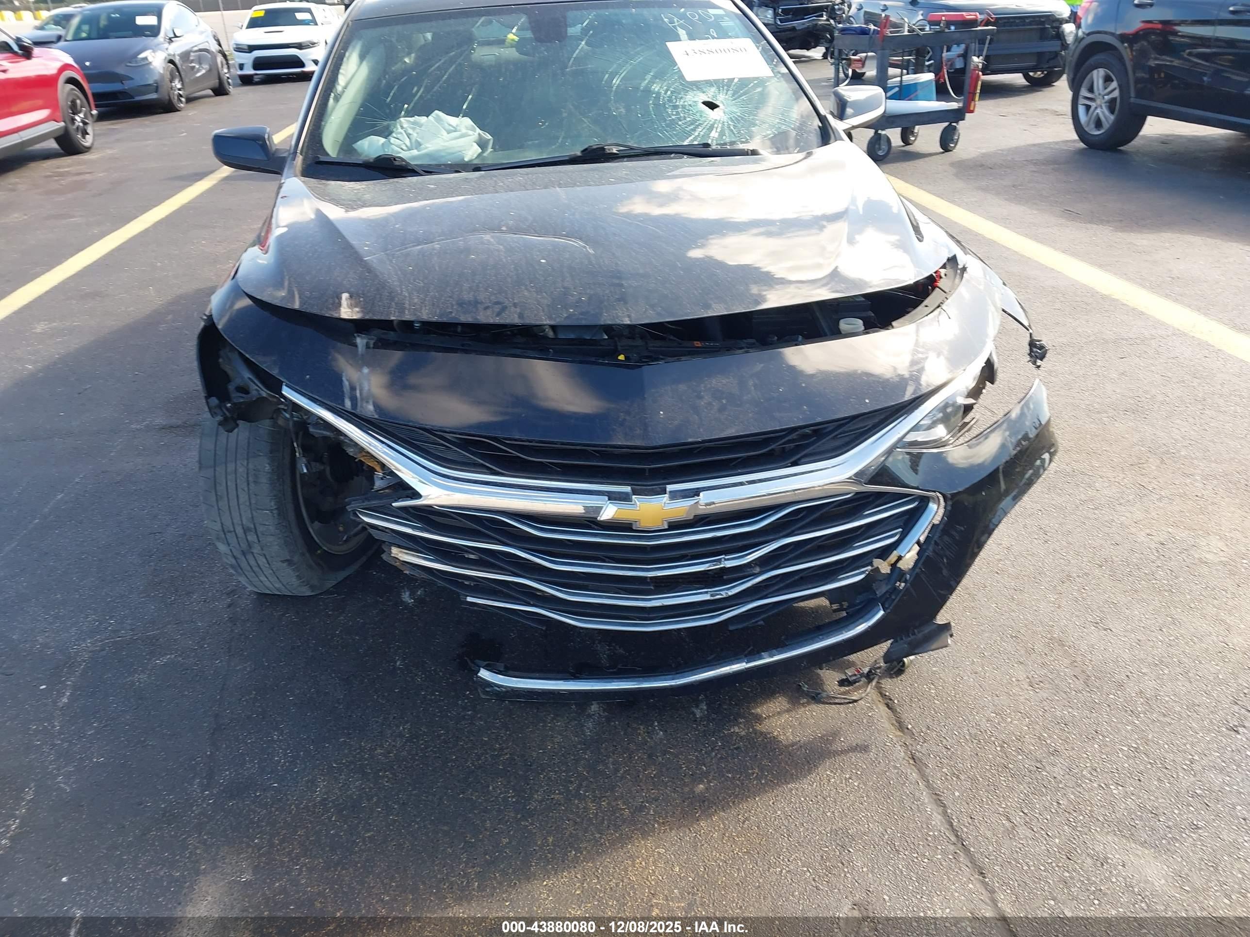 CHEVROLET MALIBU image 6