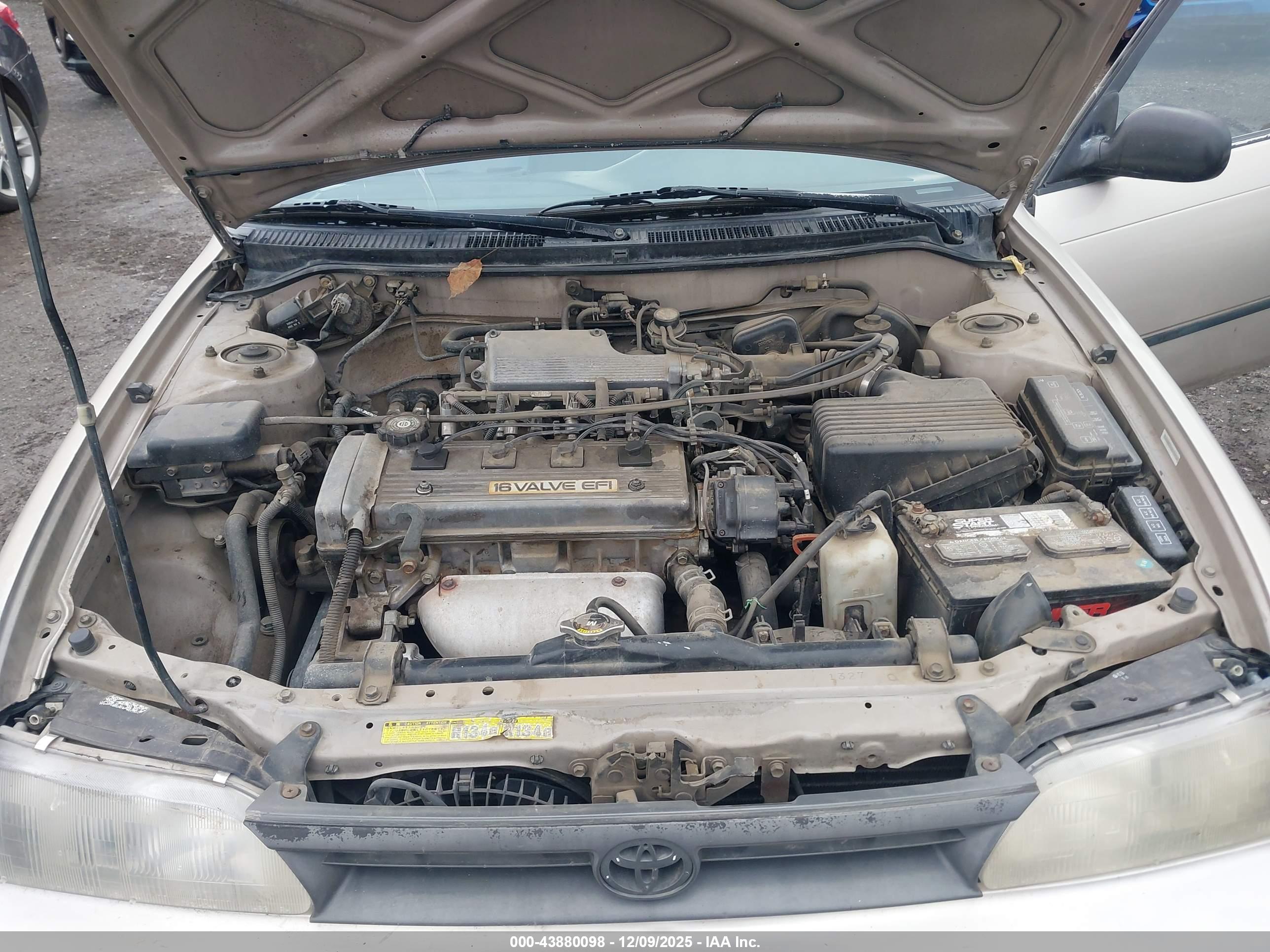 TOYOTA COROLLA image 10