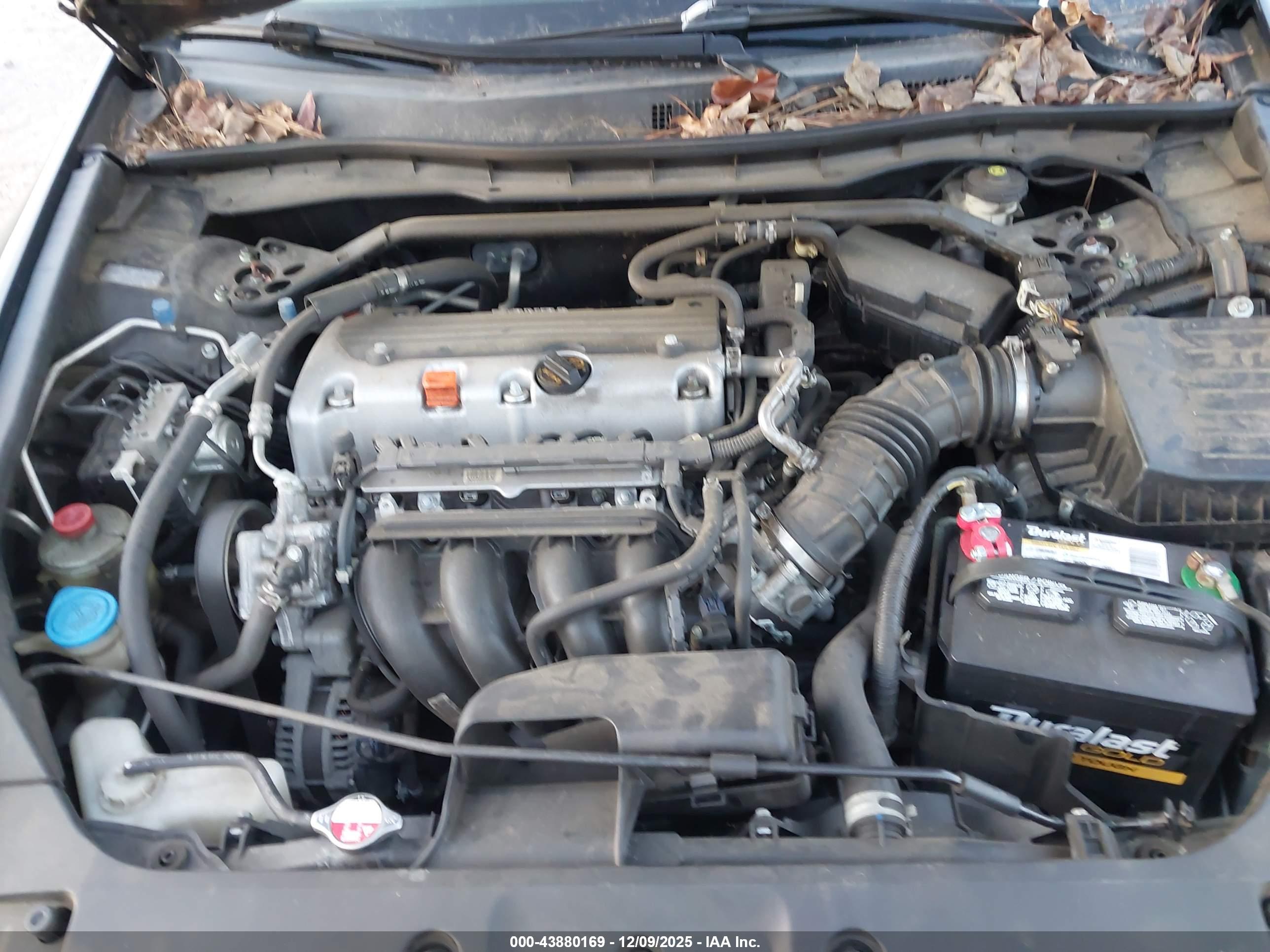 HONDA ACCORD image 10
