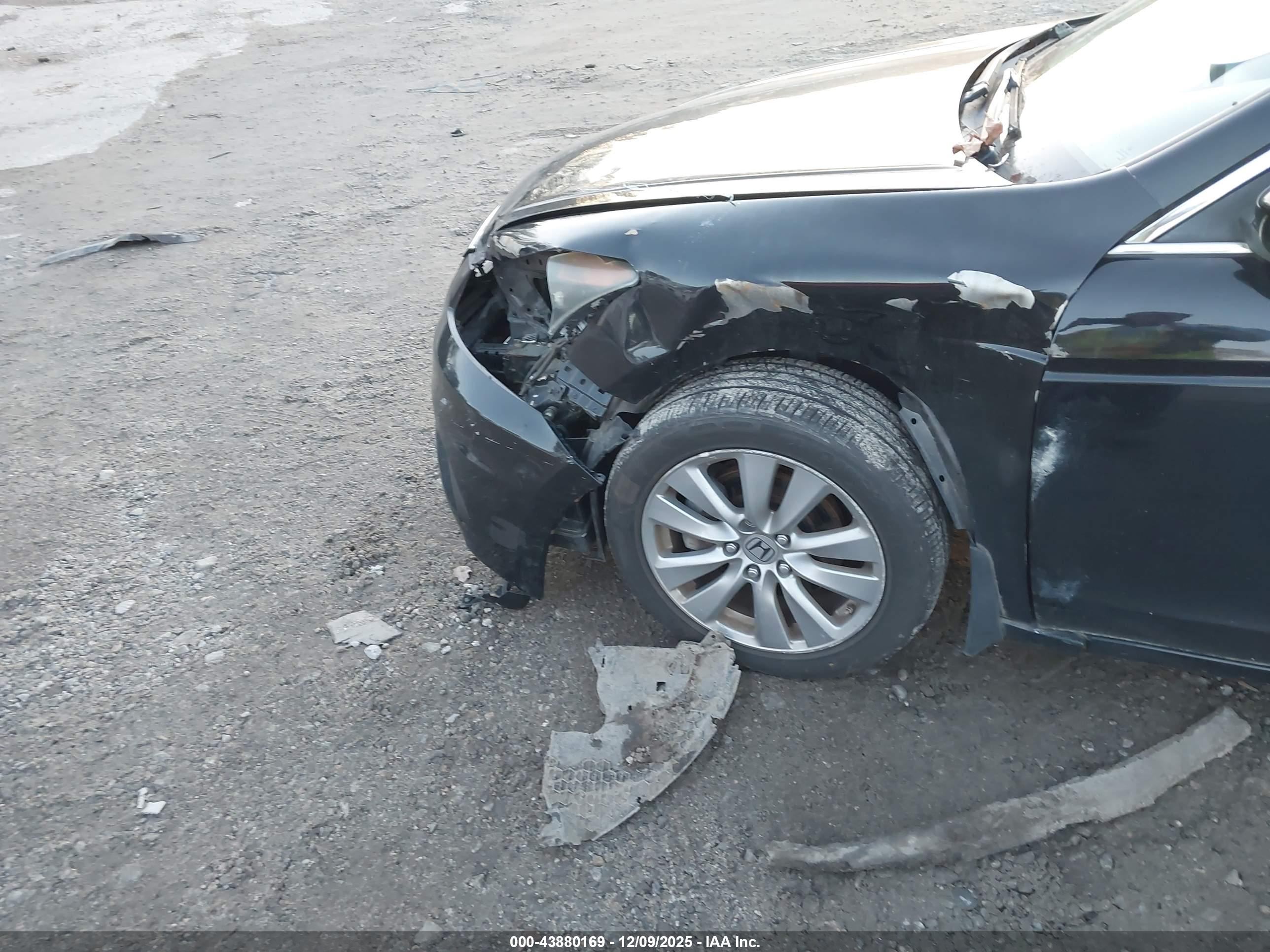 HONDA ACCORD image 6