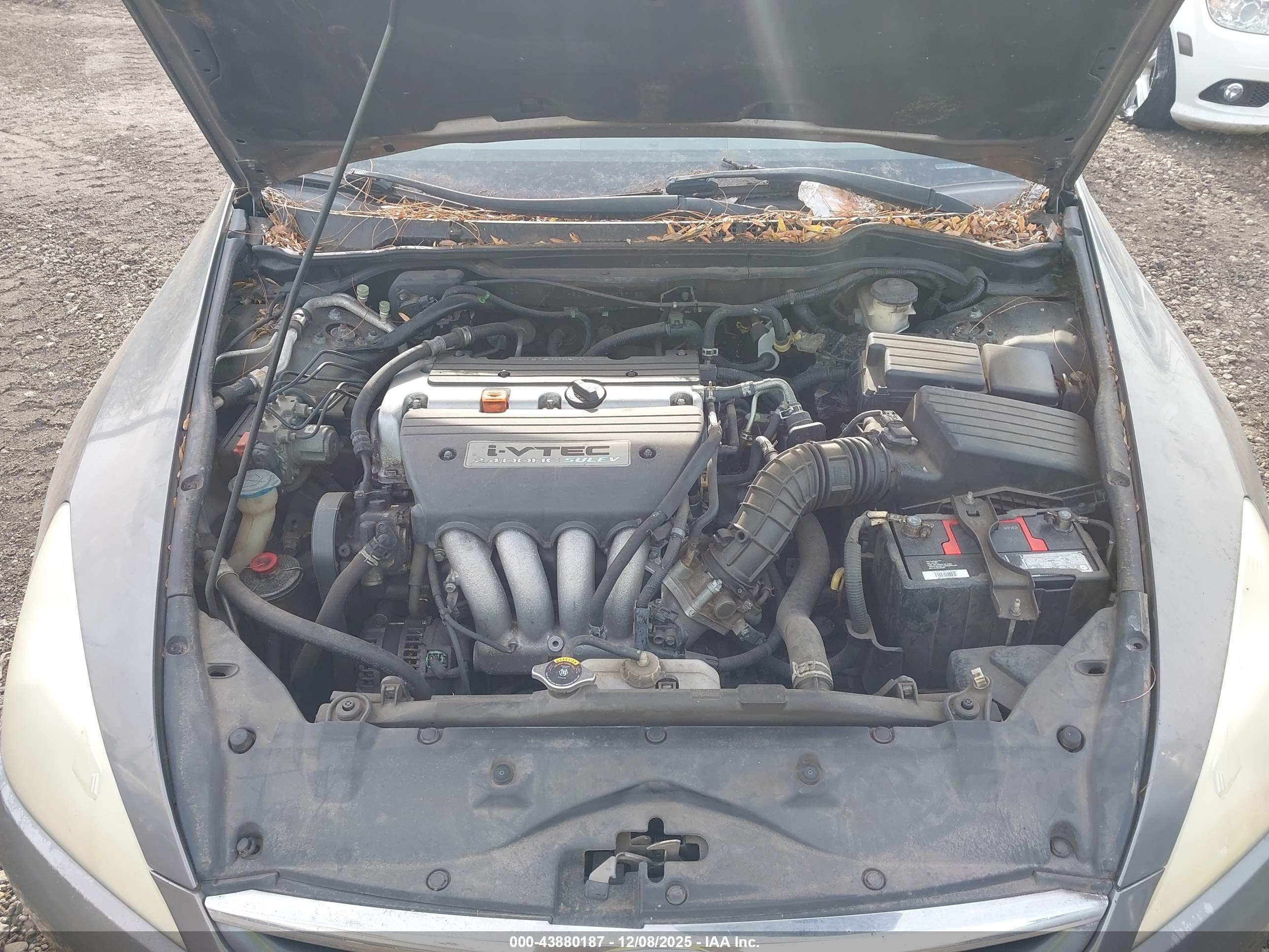 HONDA ACCORD image 10