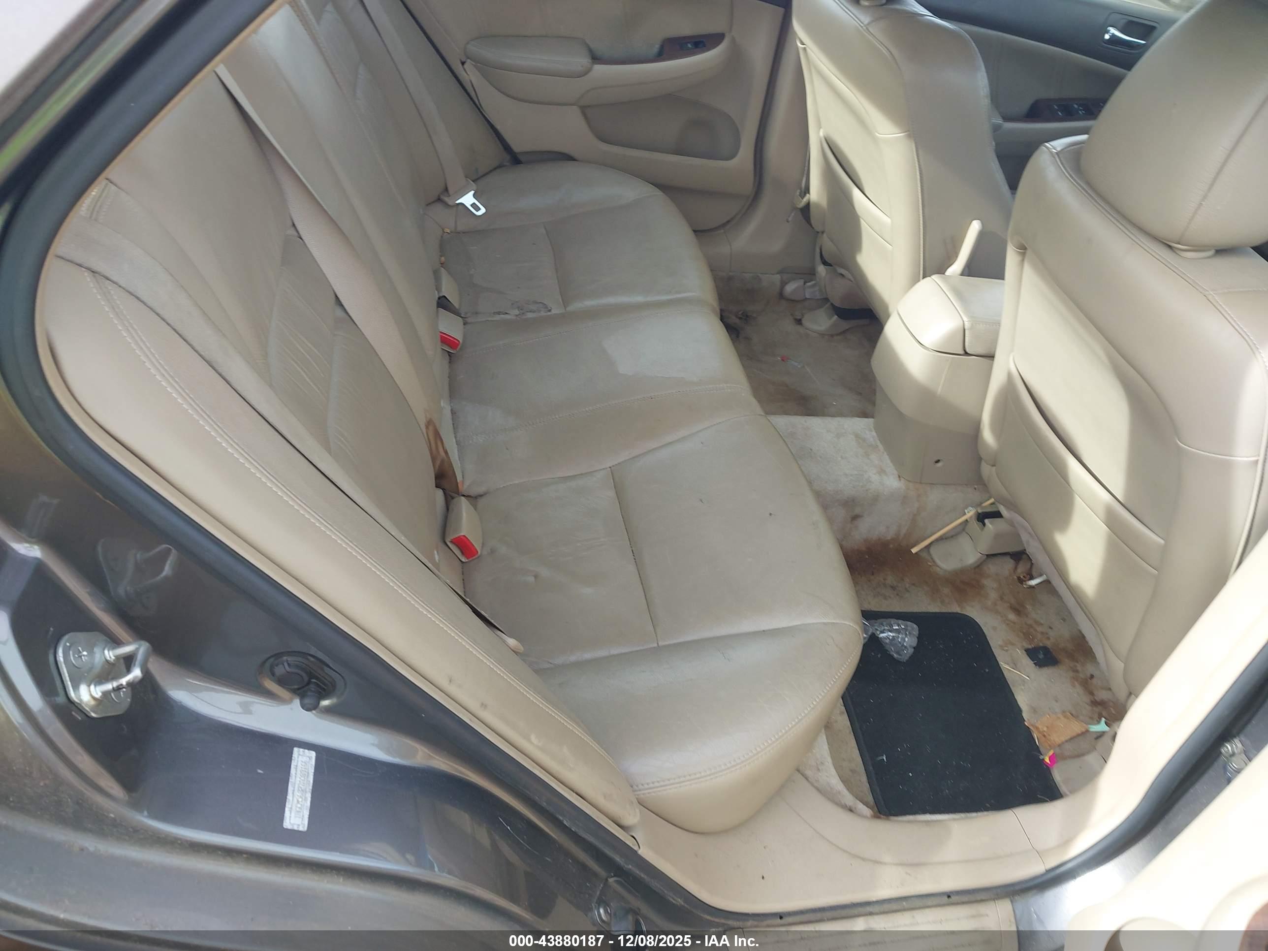 HONDA ACCORD image 8