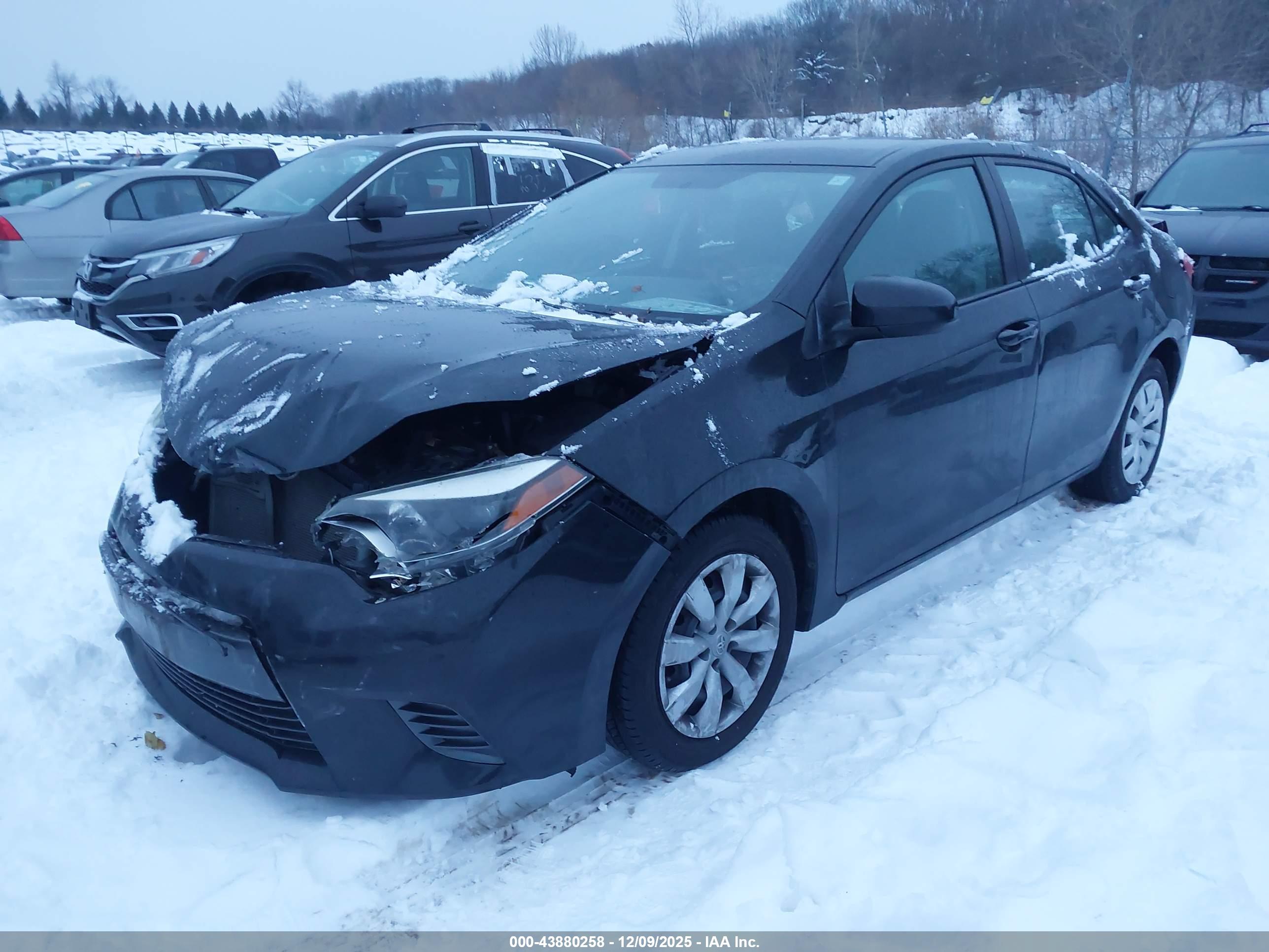TOYOTA COROLLA image 2