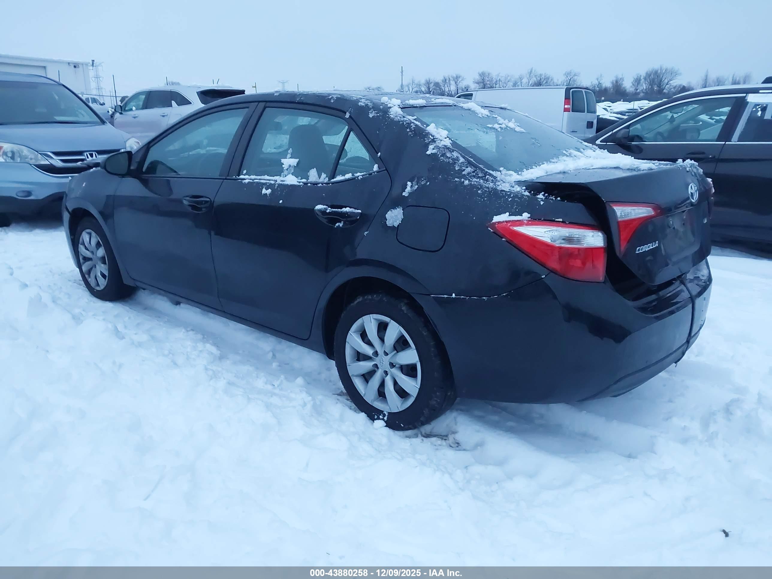 TOYOTA COROLLA image 3