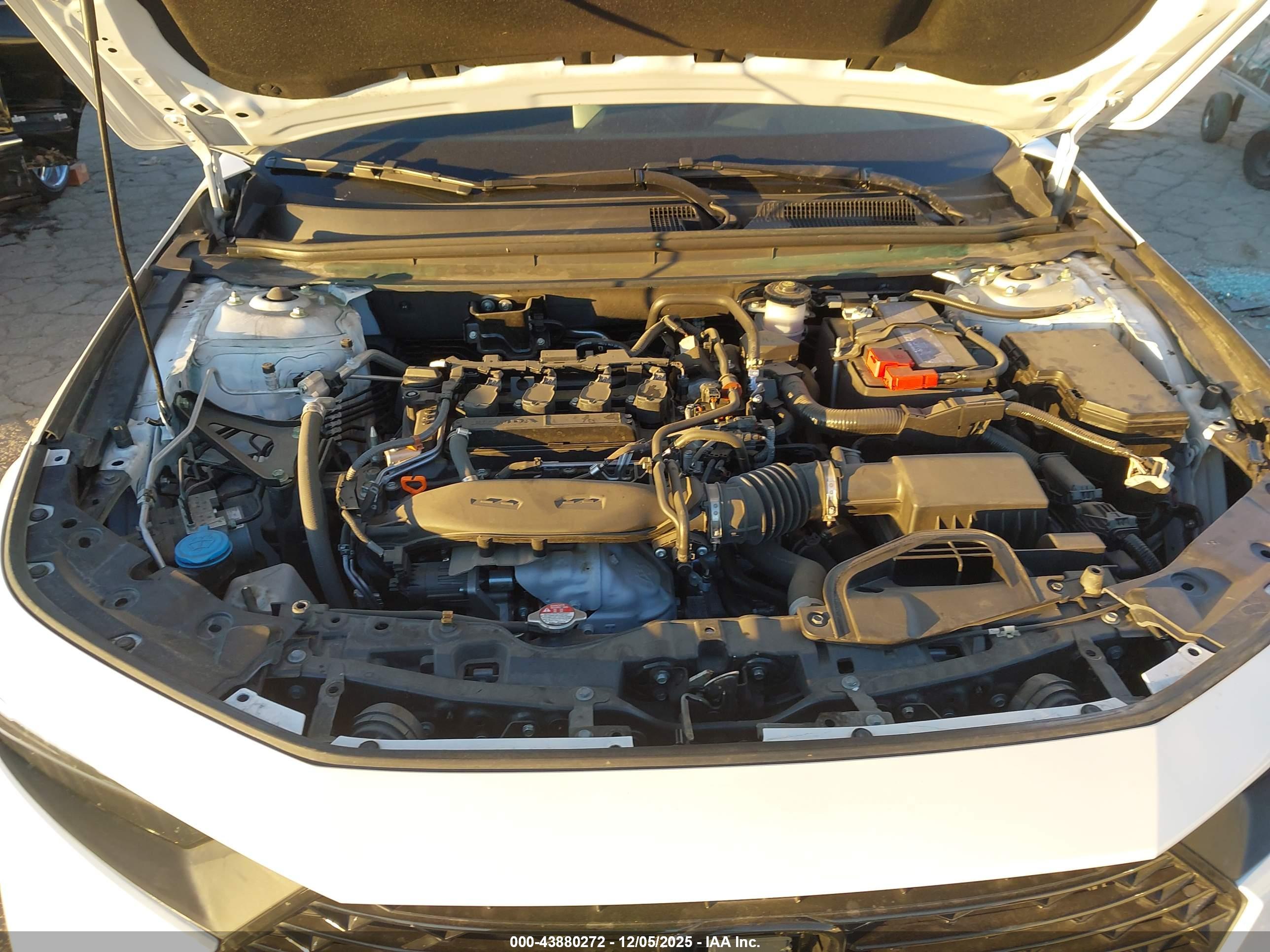 HONDA ACCORD image 10