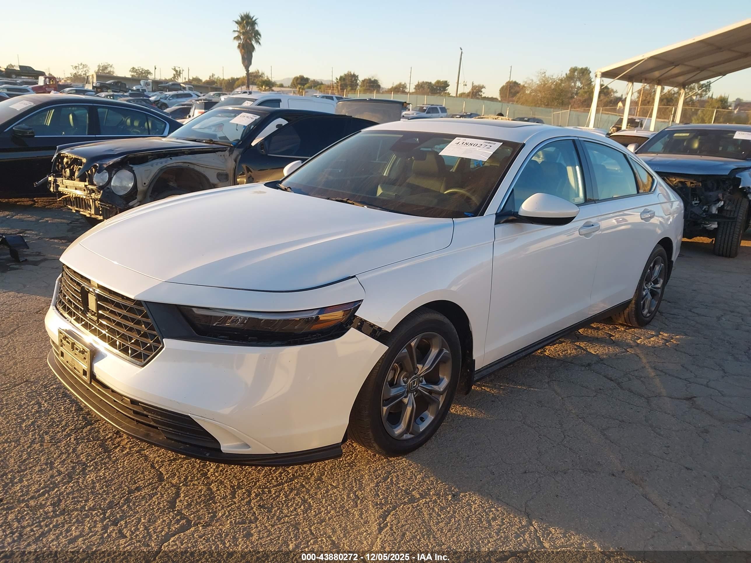 HONDA ACCORD image 2