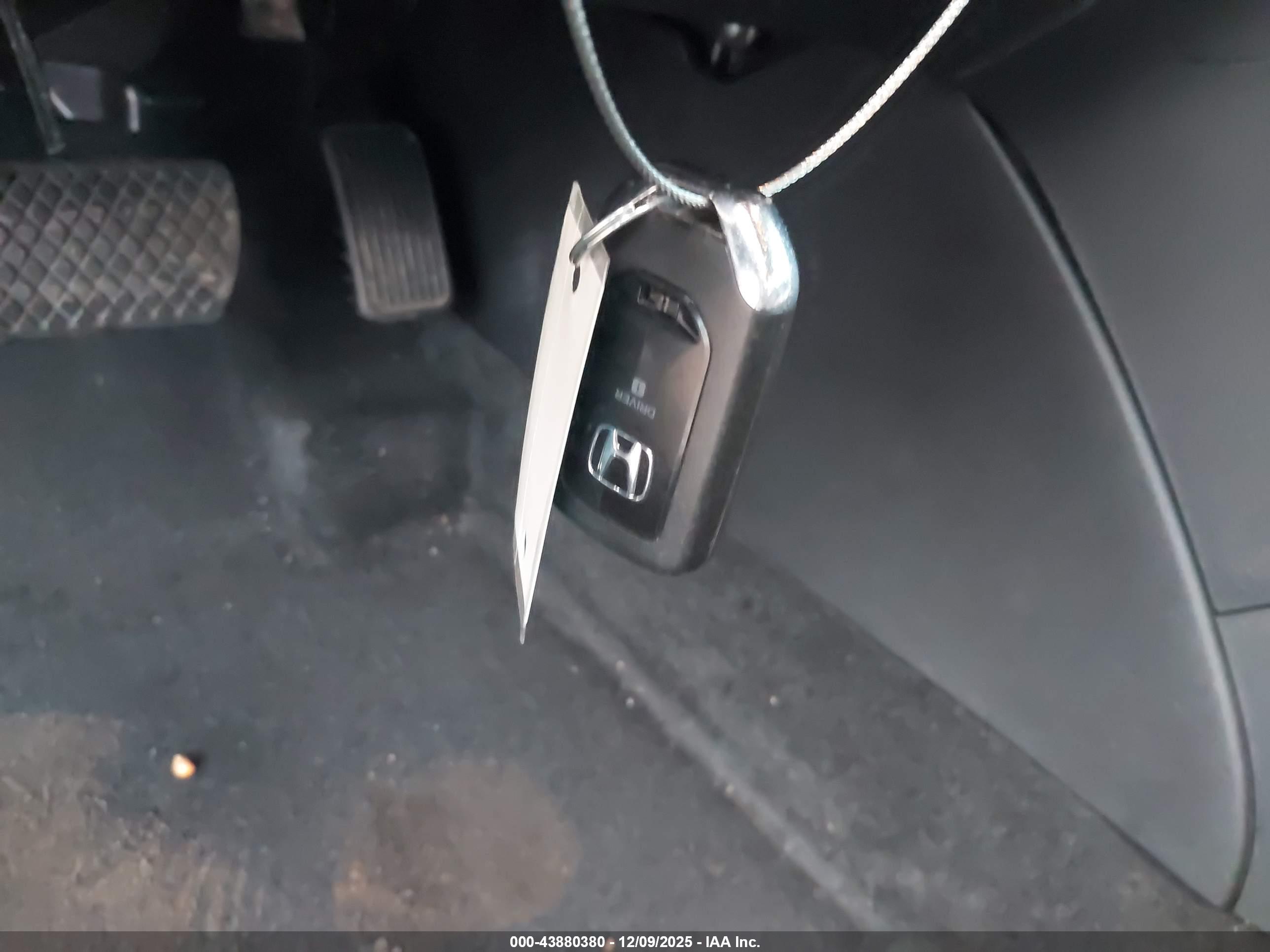 HONDA ACCORD image 11