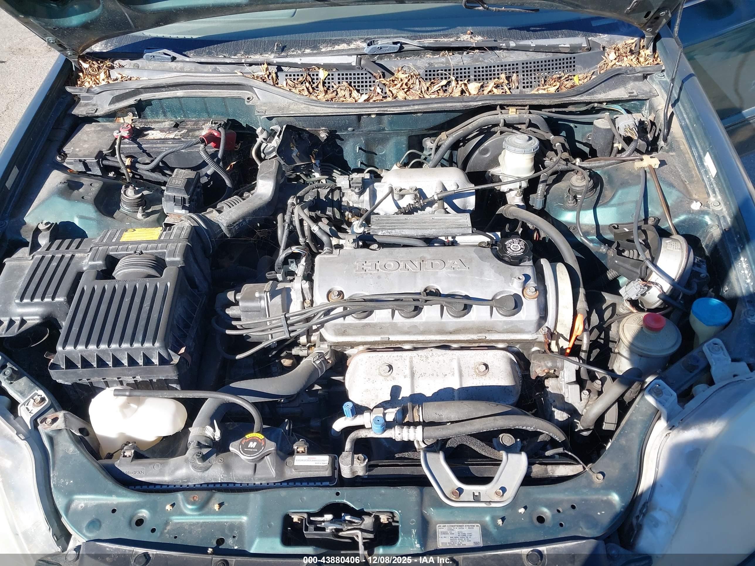 HONDA CIVIC image 10