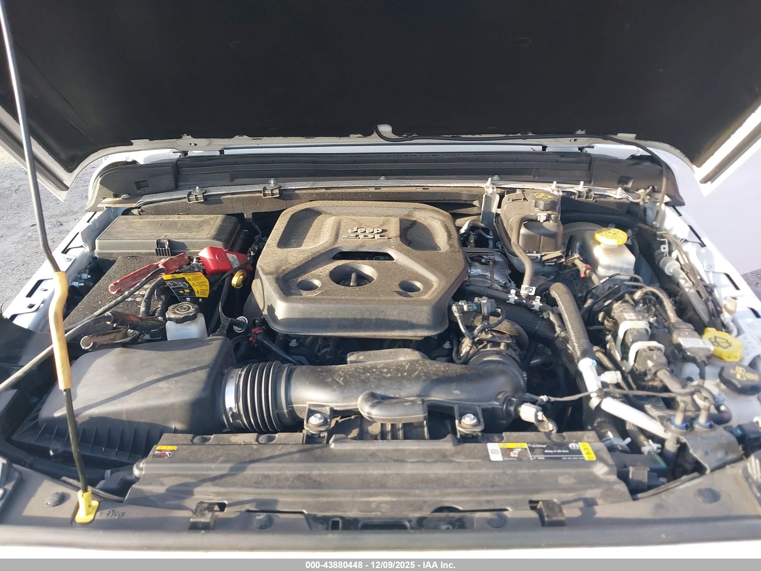 JEEP WRANGLER image 10