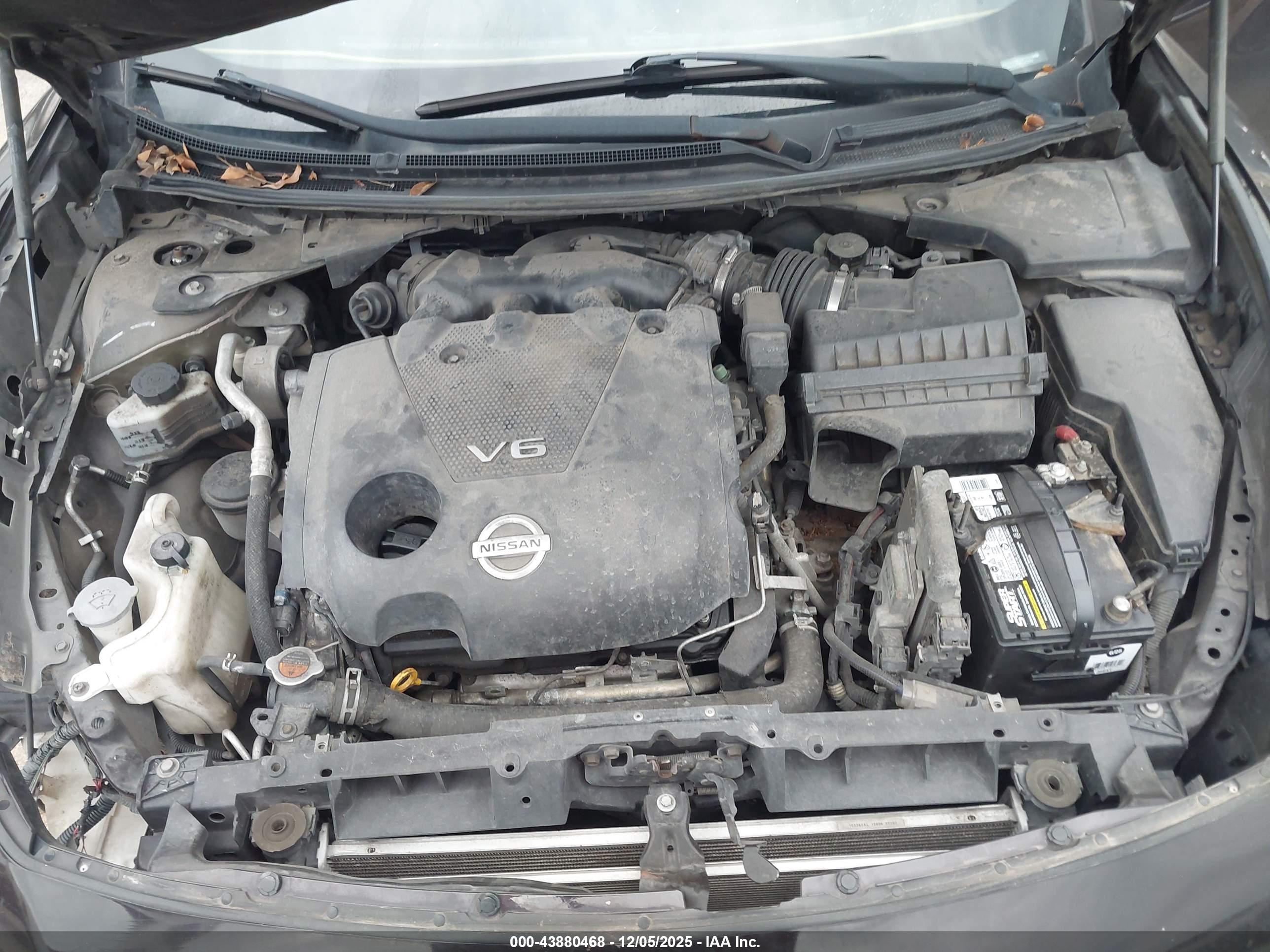 NISSAN MAXIMA image 10