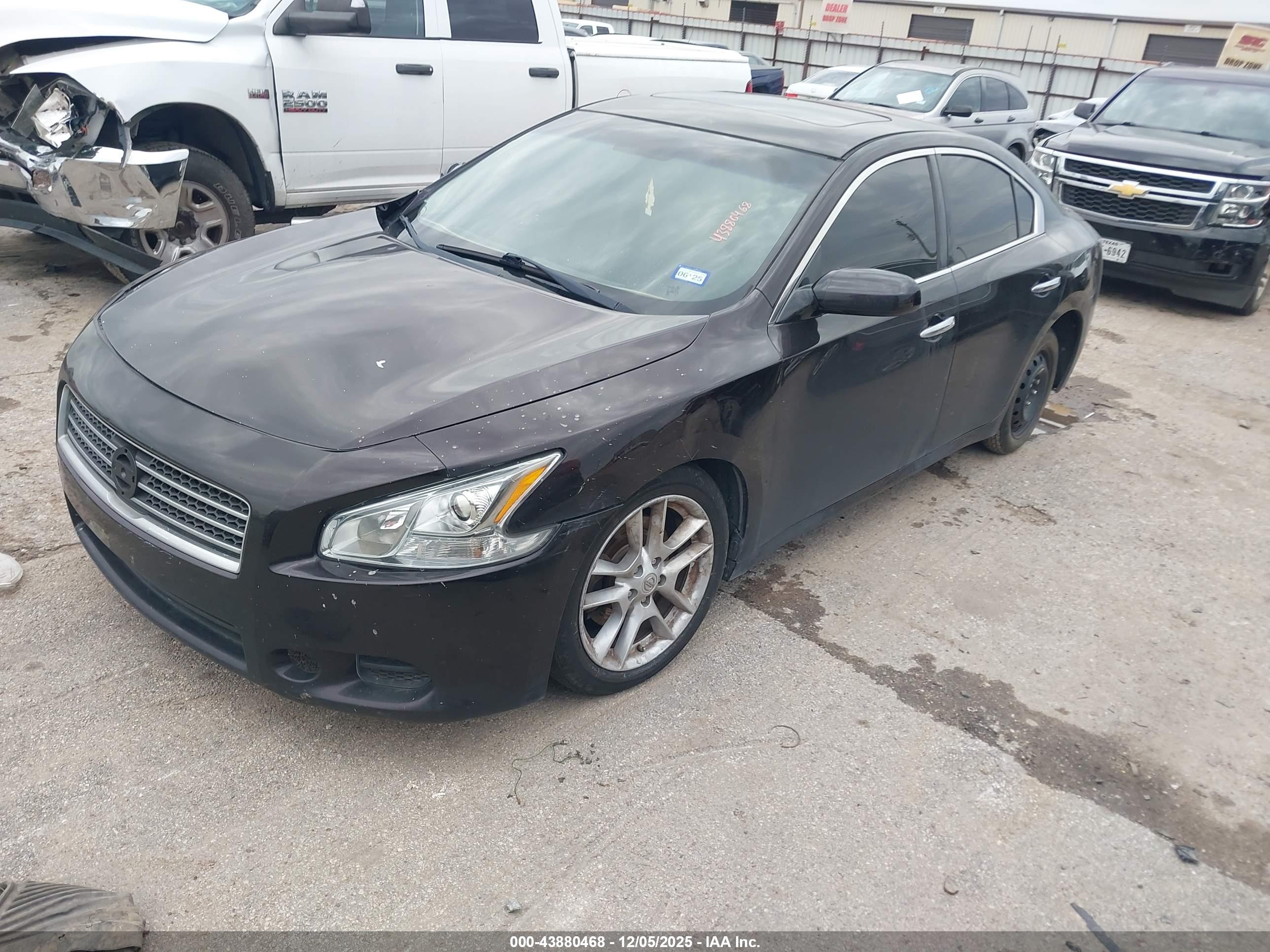 NISSAN MAXIMA image 2