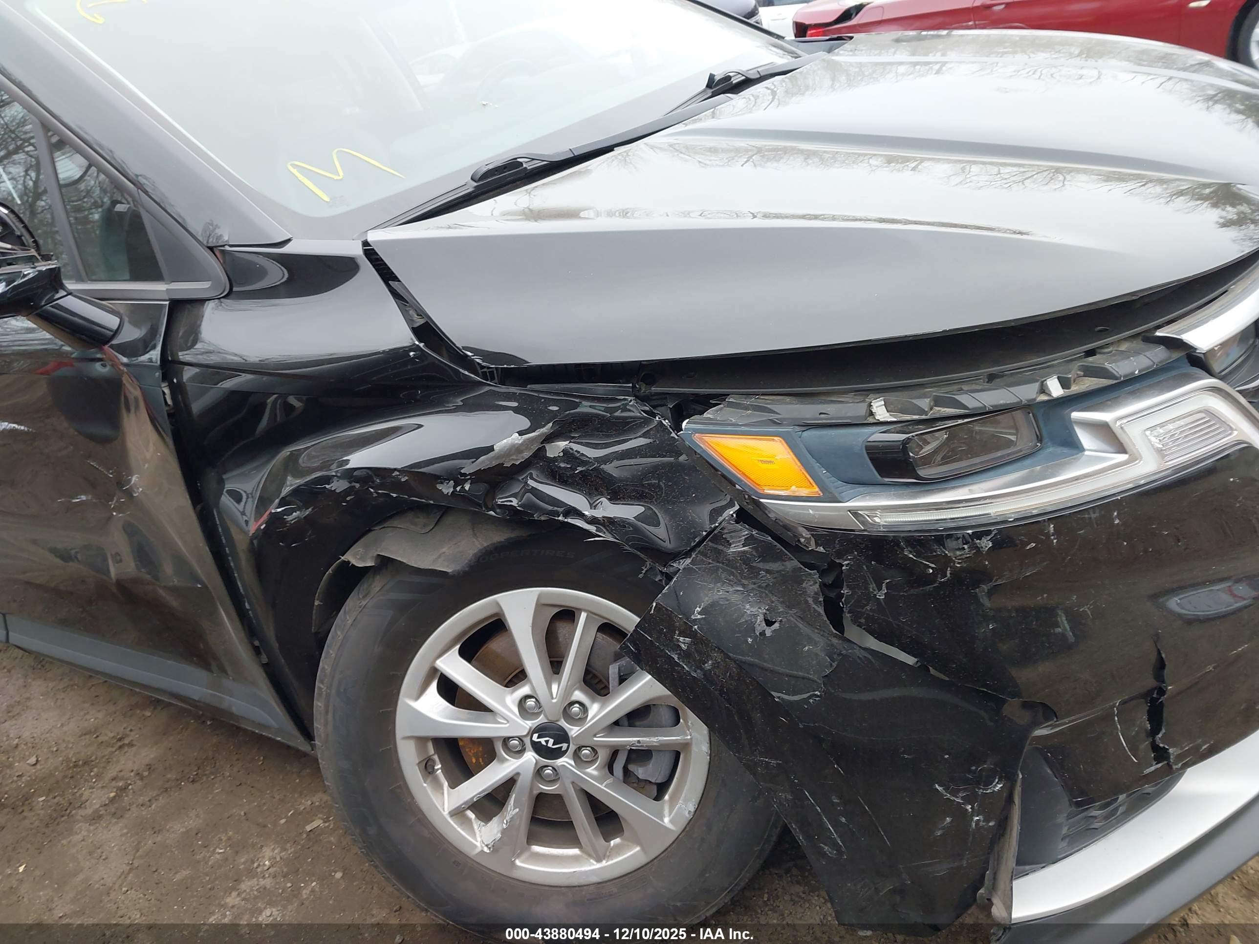 KIA CARNIVAL image 6