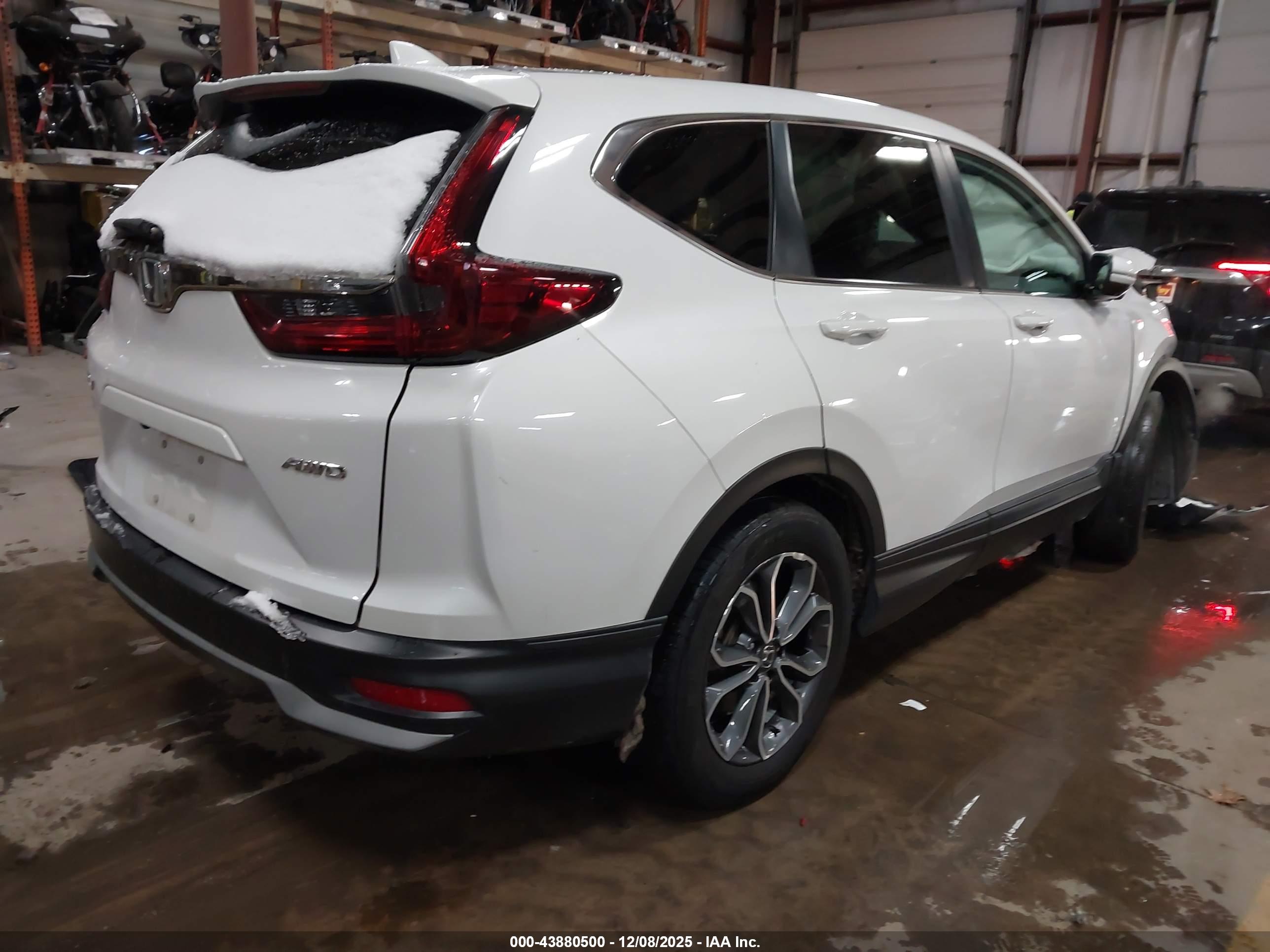 HONDA CR-V image 4