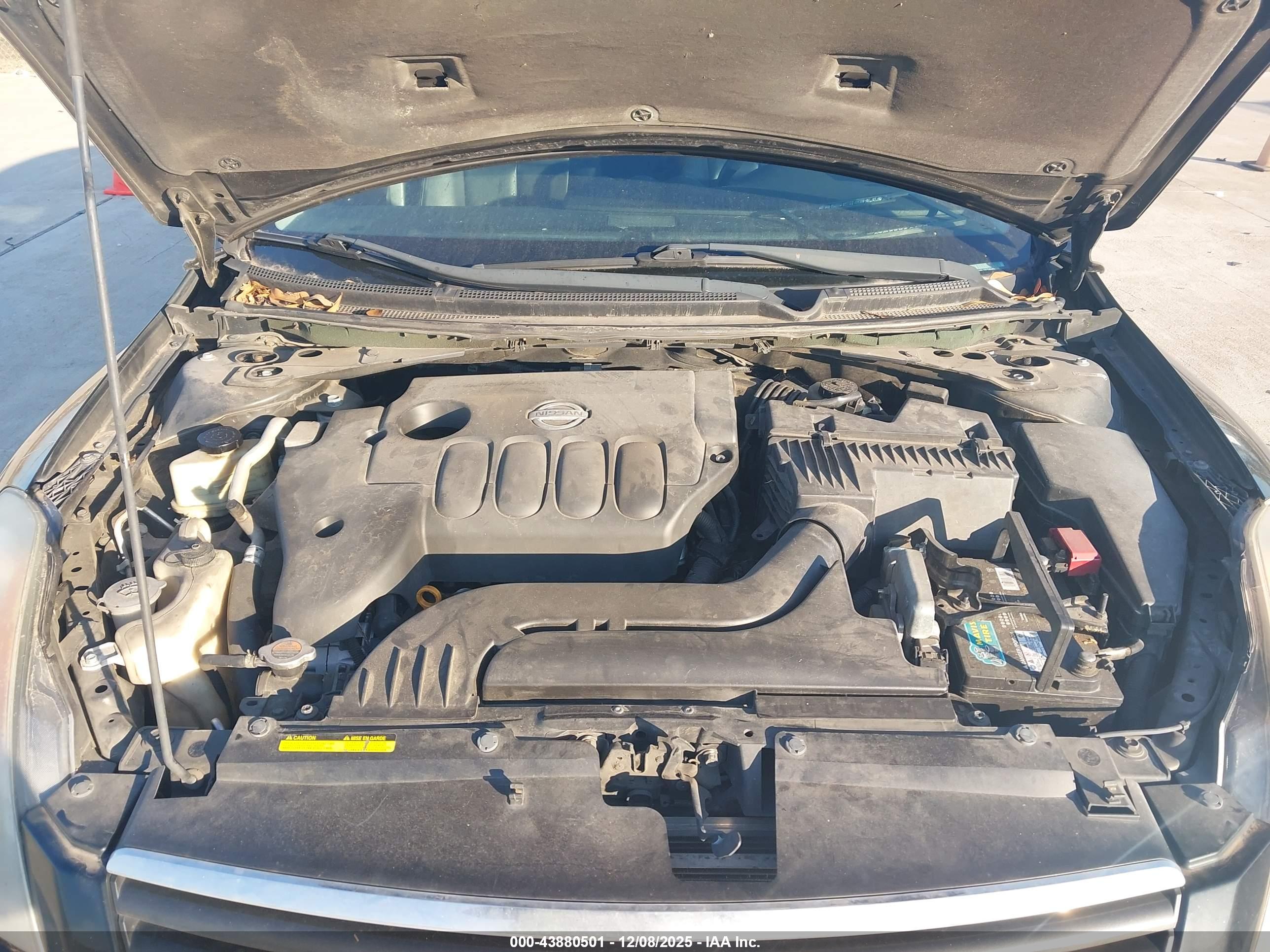 NISSAN ALTIMA image 10