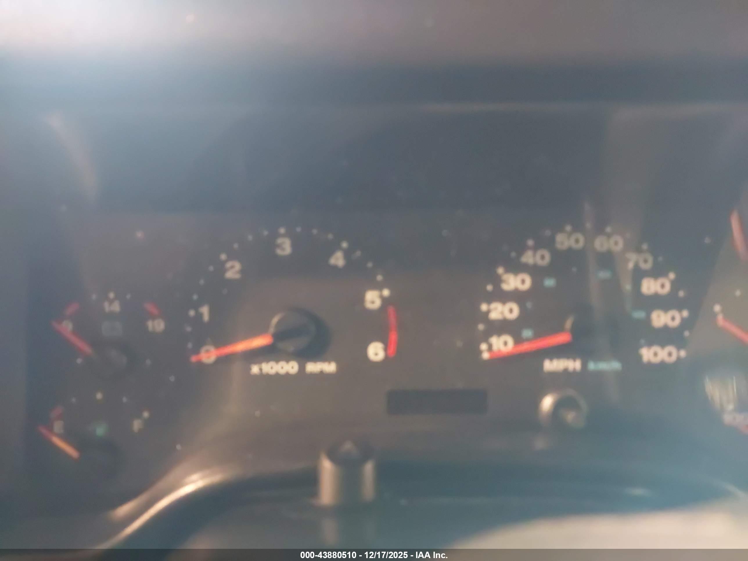 JEEP WRANGLER image 7