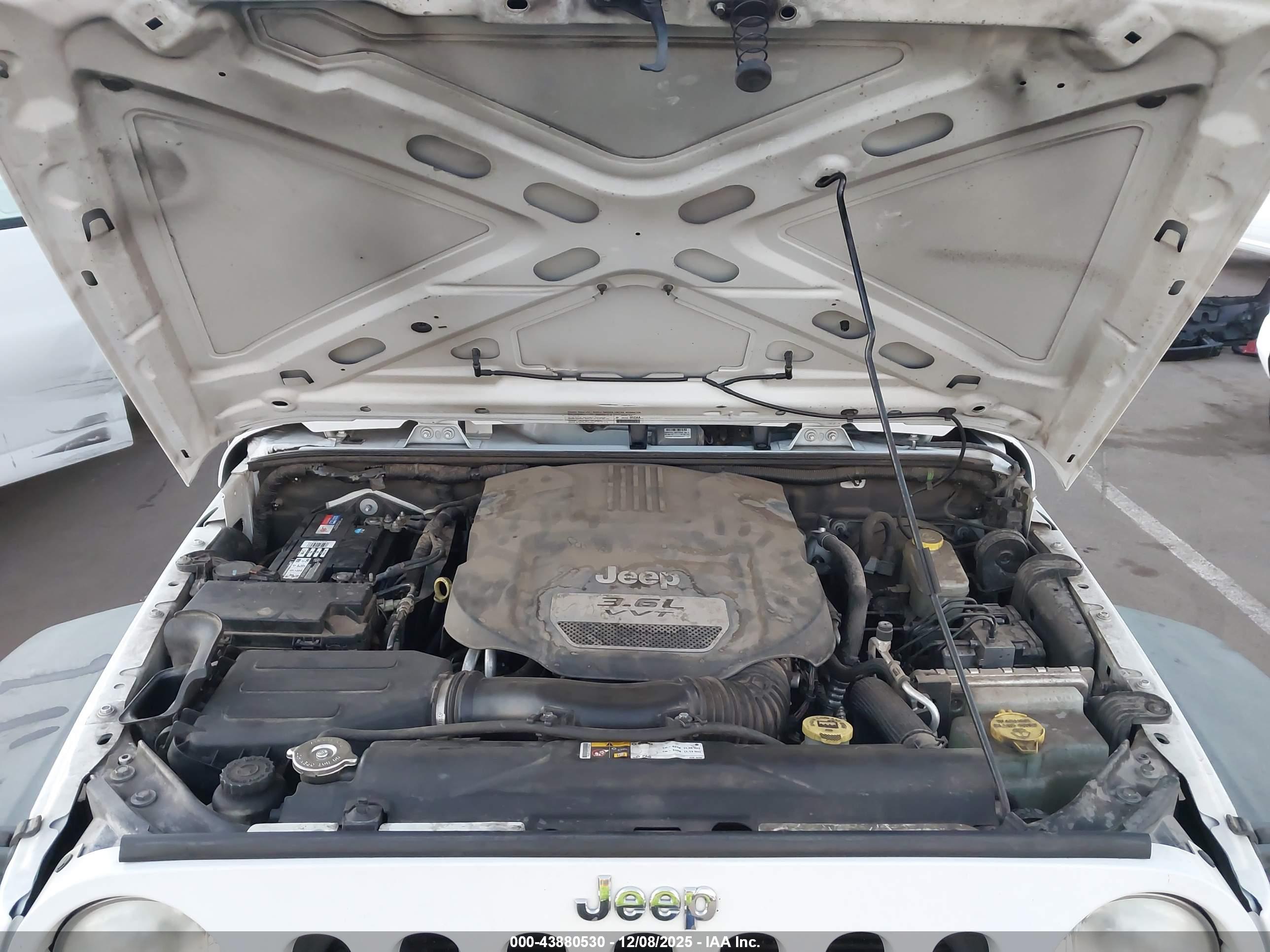 JEEP WRANGLER image 10