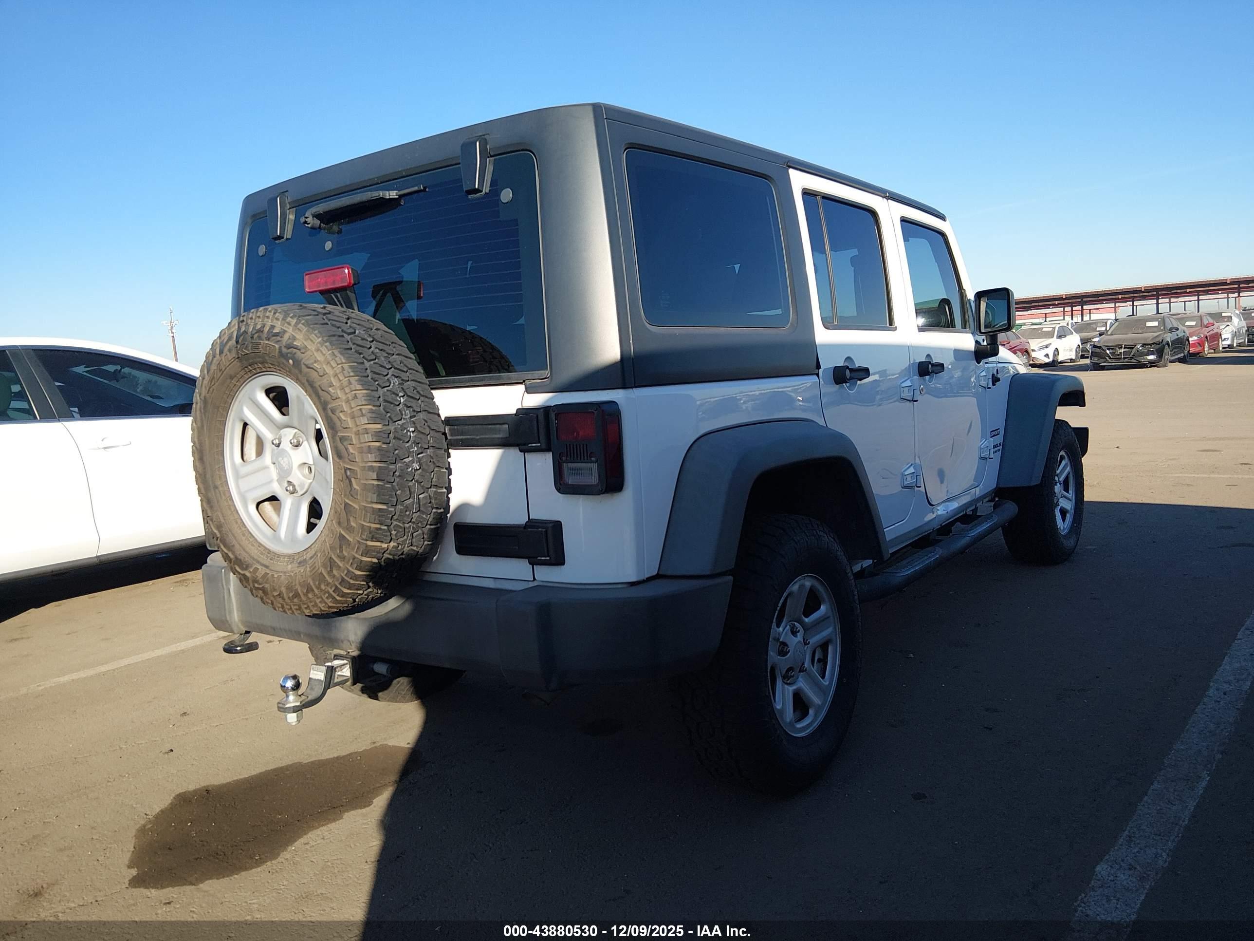JEEP WRANGLER image 4