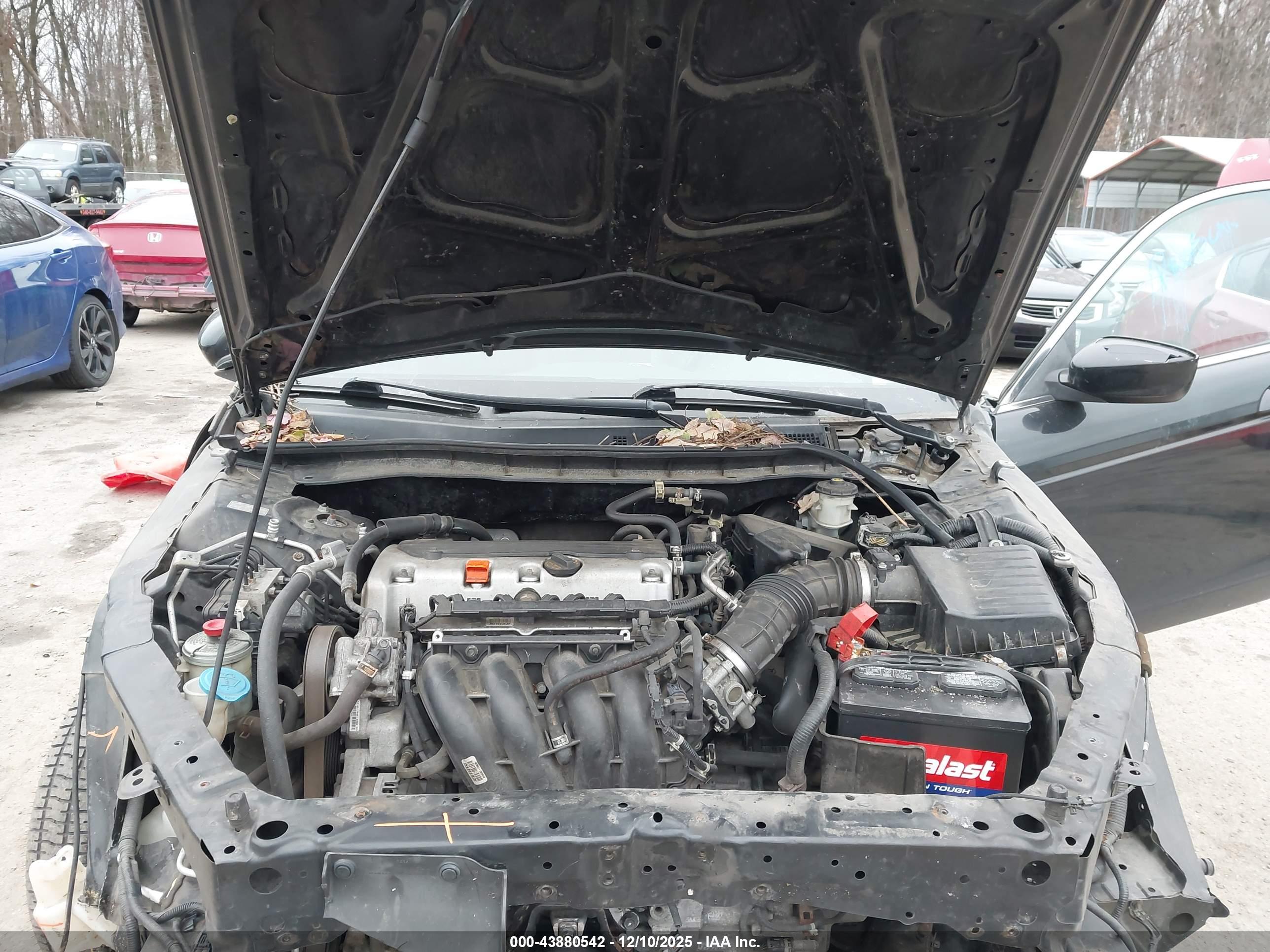 HONDA ACCORD image 10