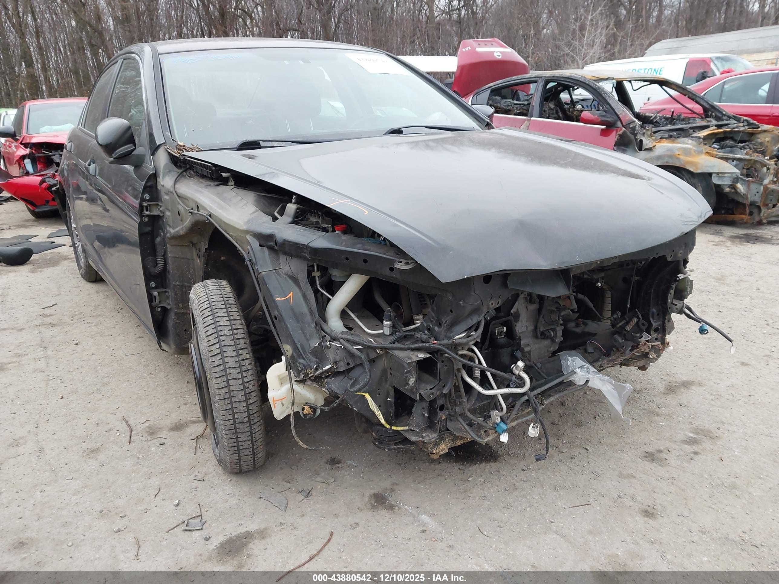 HONDA ACCORD image 6