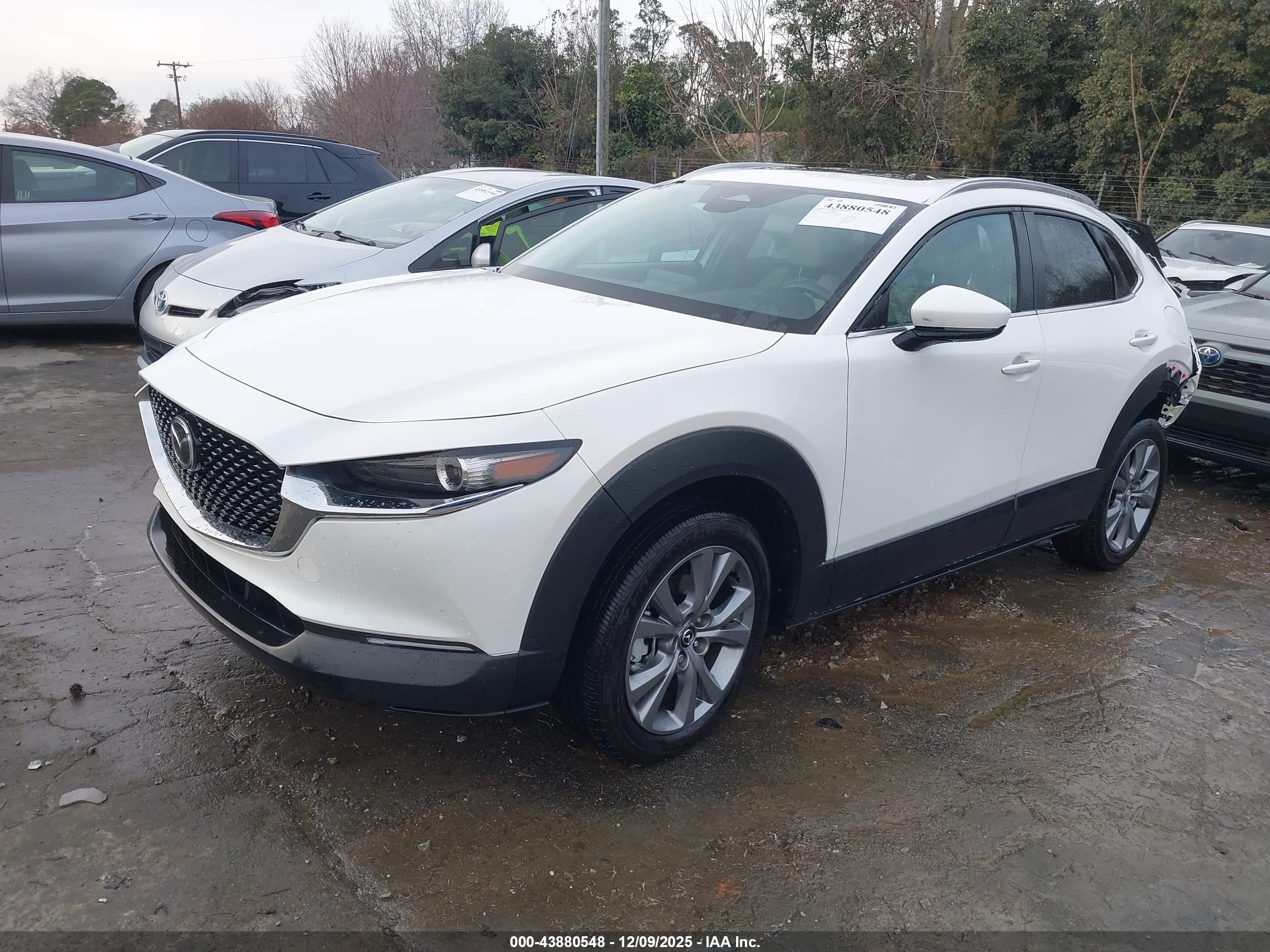 MAZDA CX-30 image 2