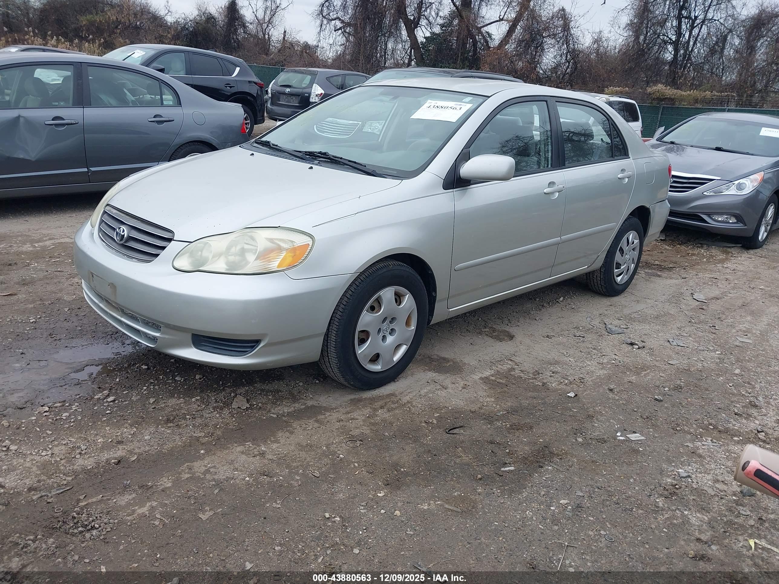 TOYOTA COROLLA image 2