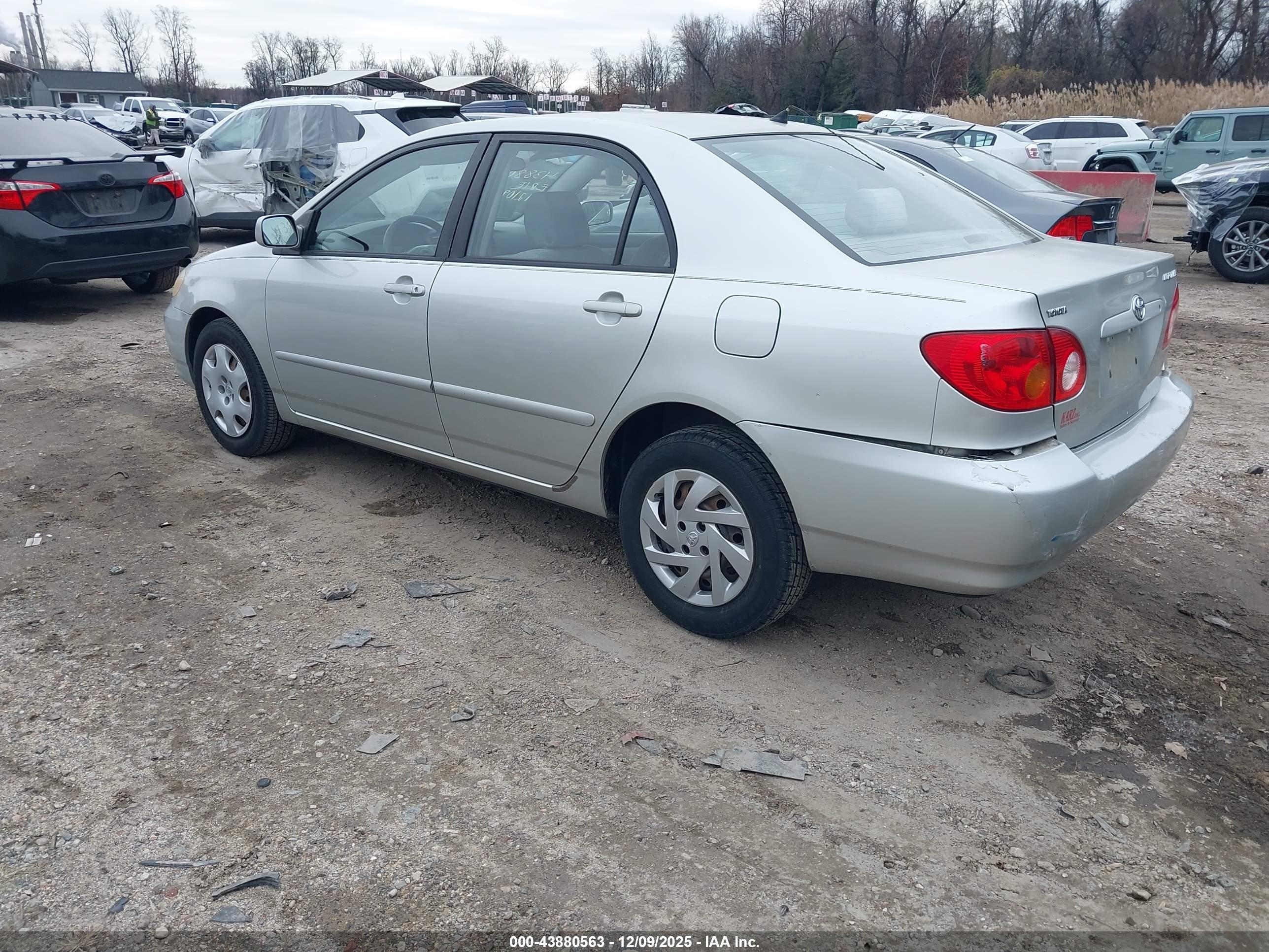 TOYOTA COROLLA image 3
