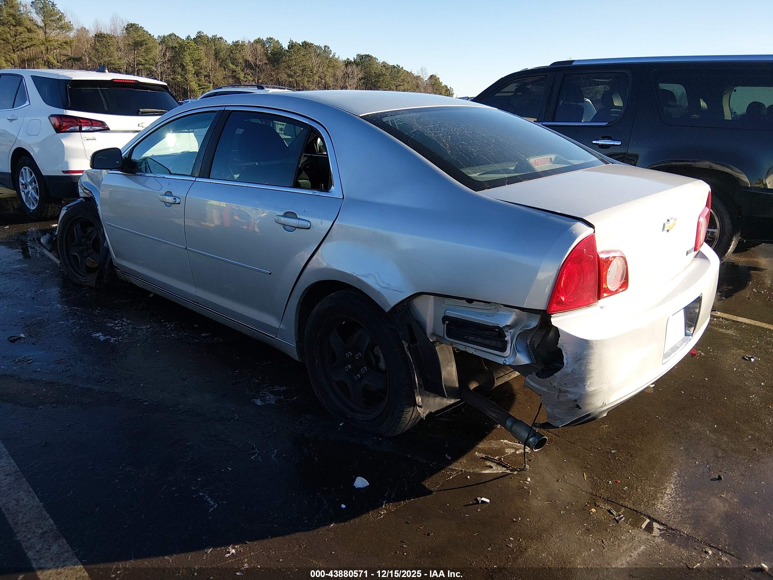 CHEVROLET MALIBU image 3
