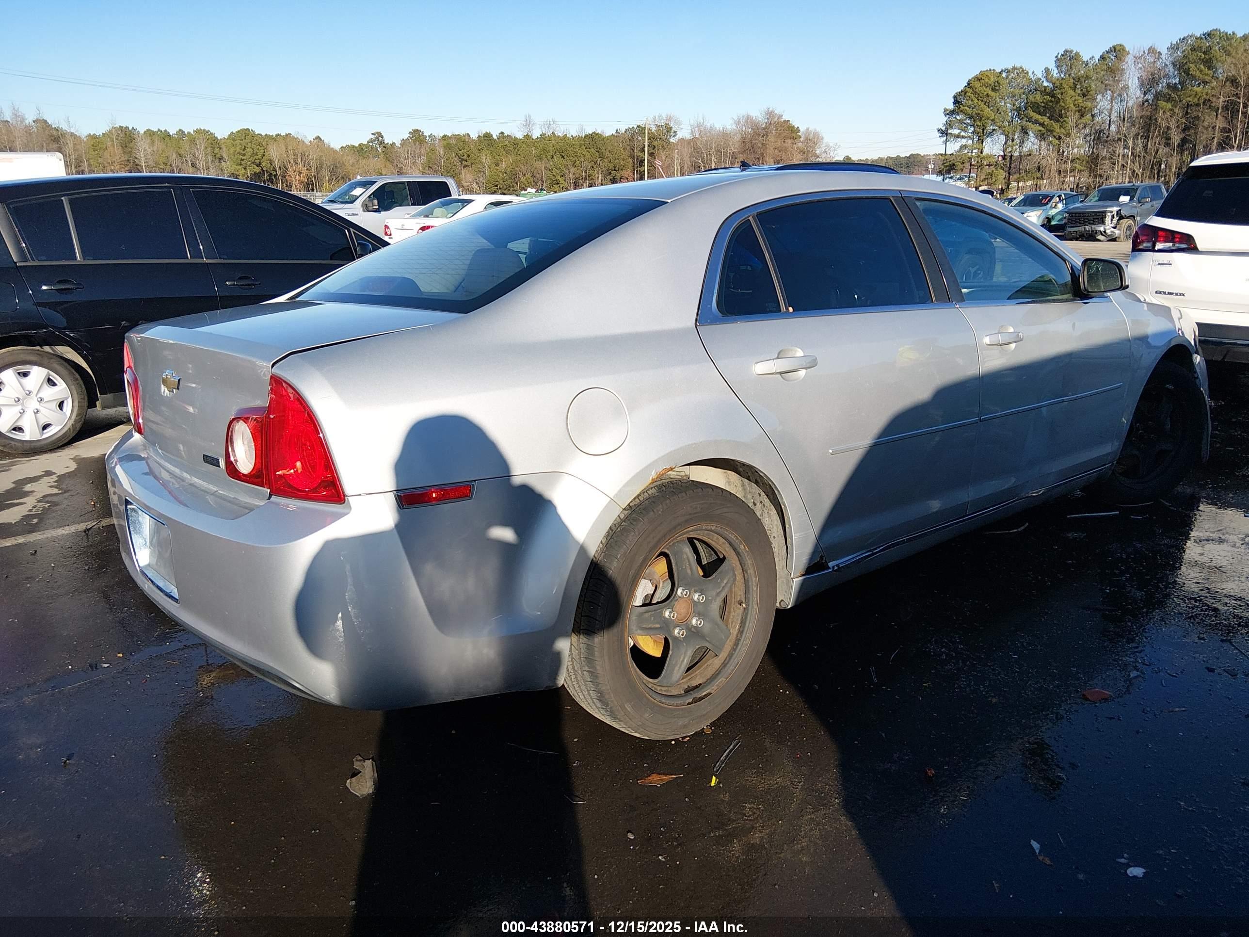 CHEVROLET MALIBU image 4