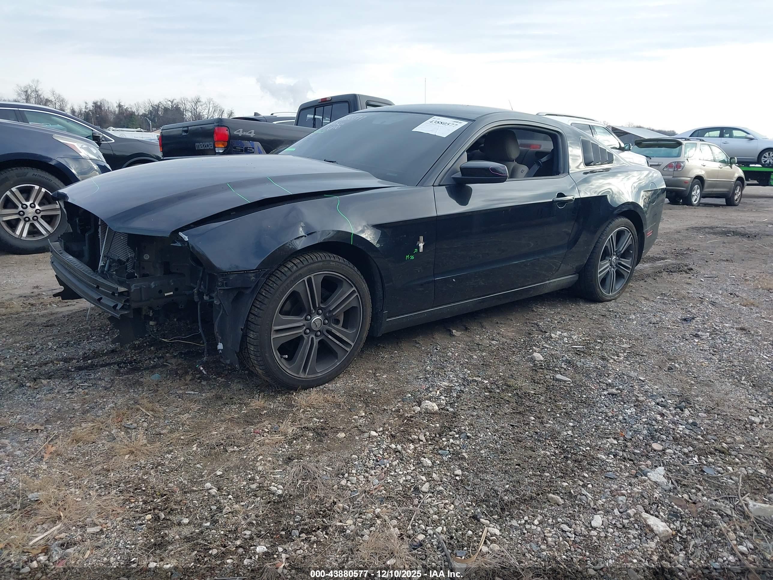 FORD MUSTANG image 2