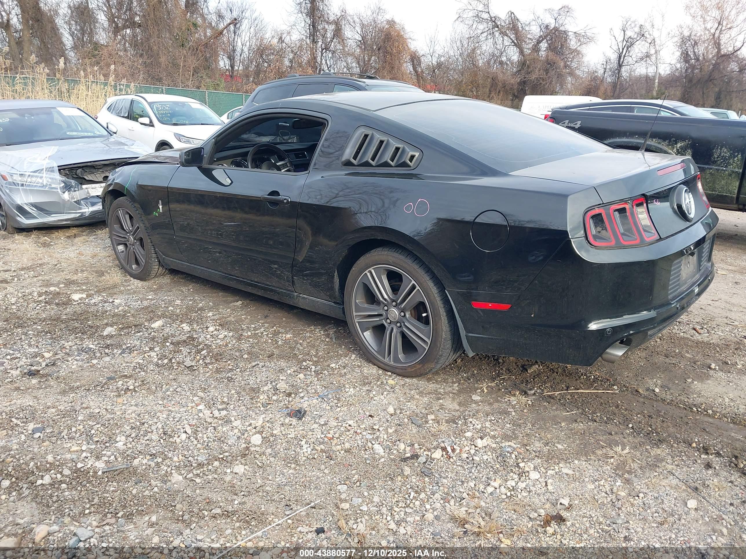 FORD MUSTANG image 3
