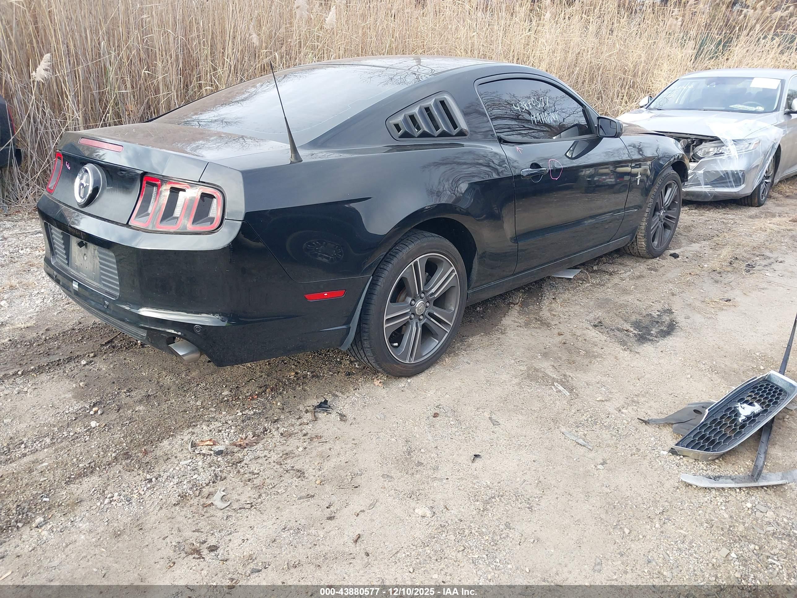 FORD MUSTANG image 4