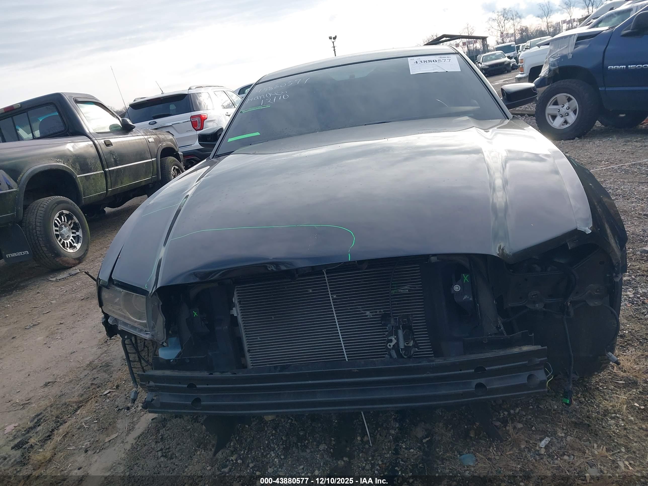 FORD MUSTANG image 6