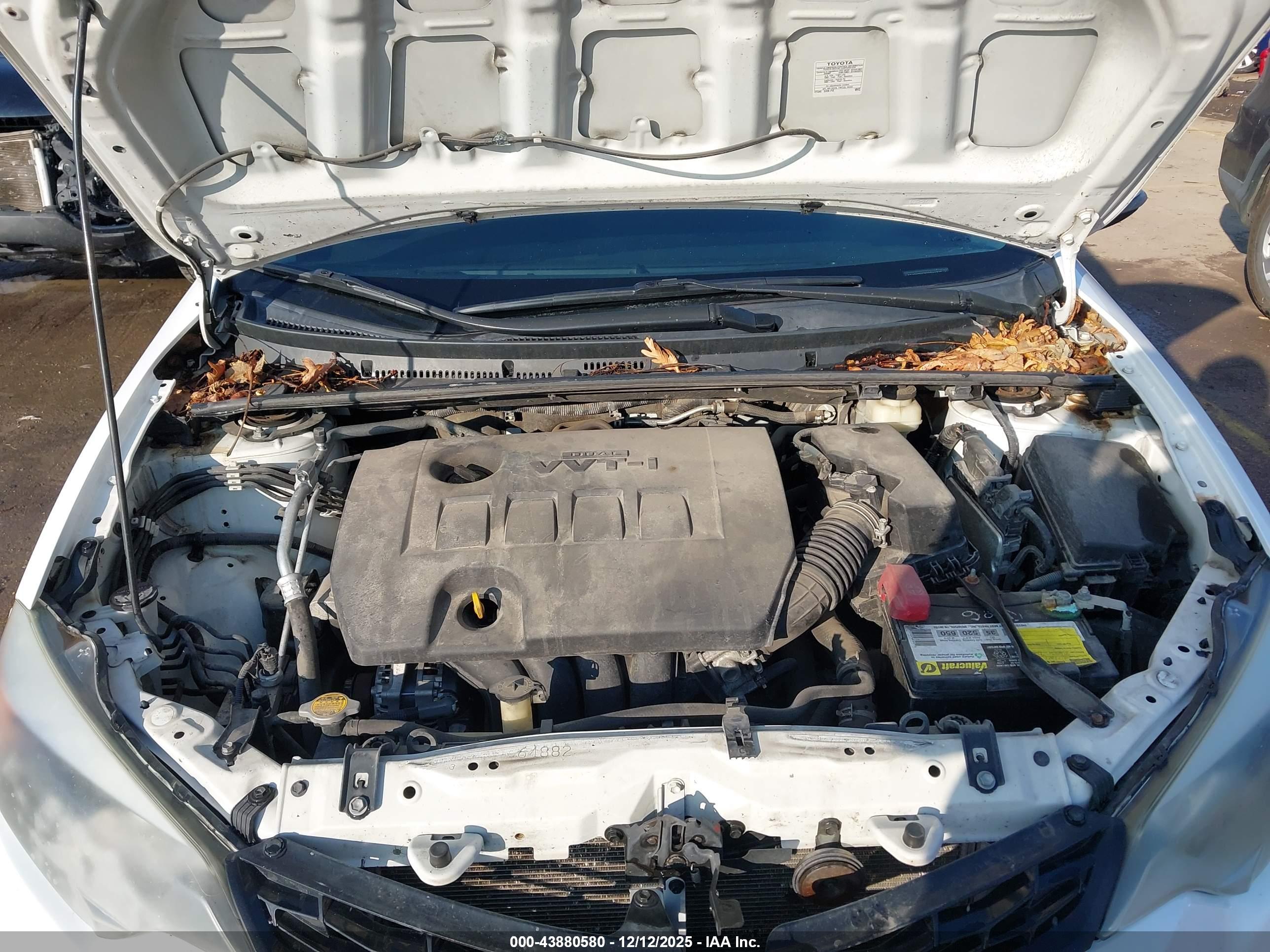 TOYOTA COROLLA image 10