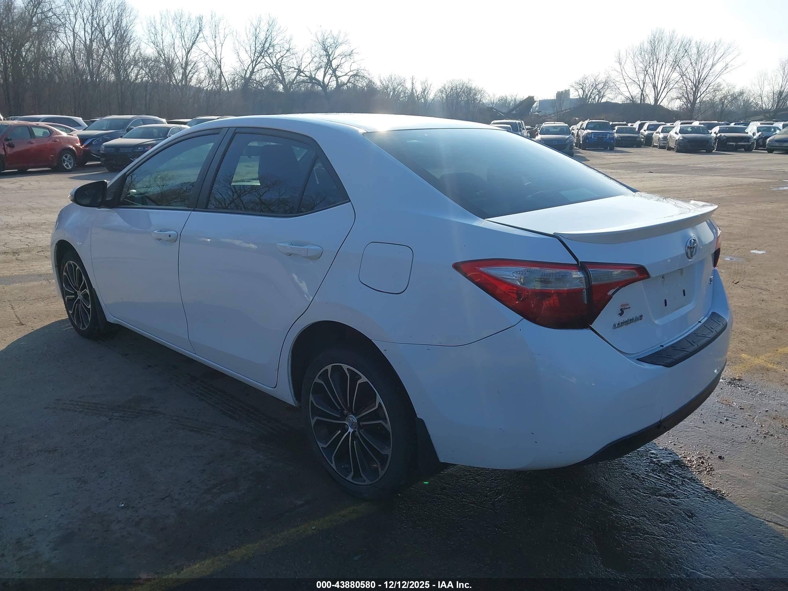 TOYOTA COROLLA image 3