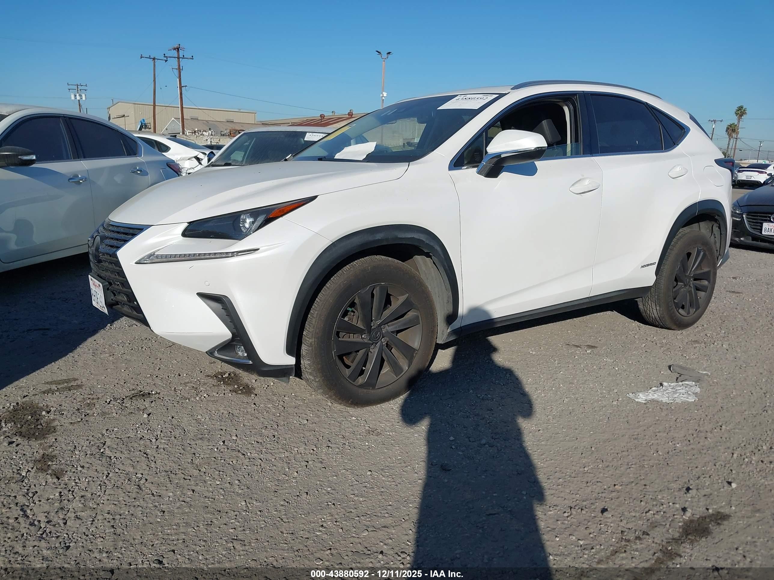 LEXUS NX image 2