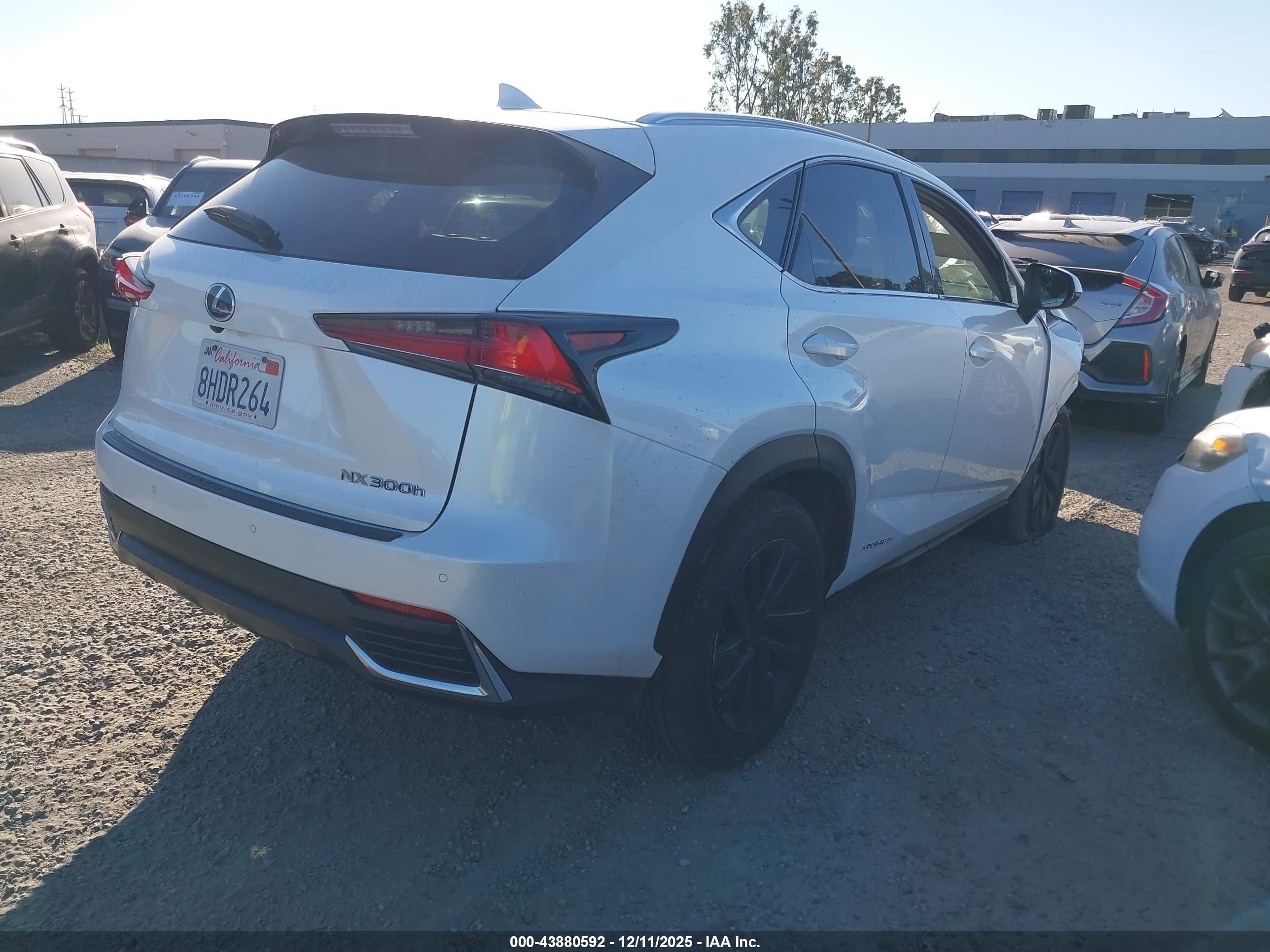LEXUS NX image 4