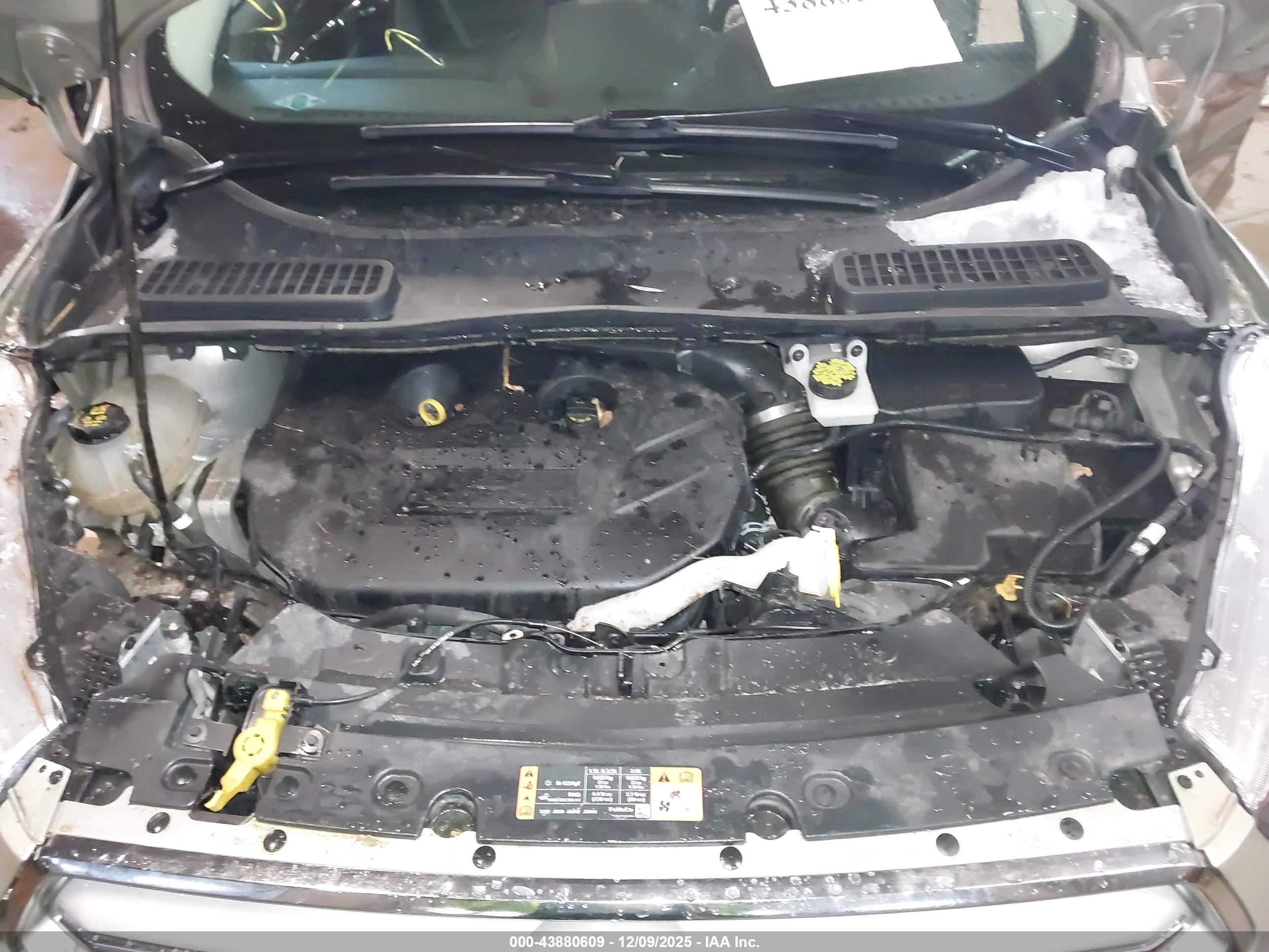 FORD ESCAPE image 10