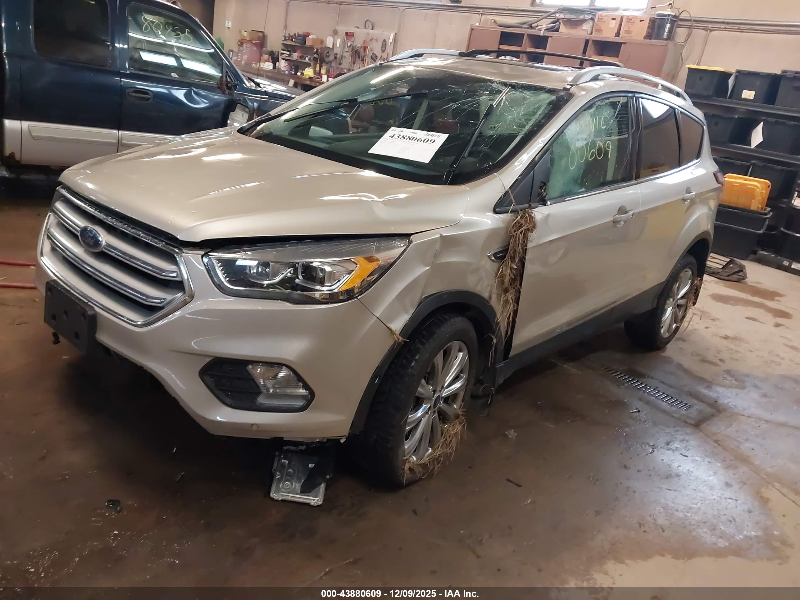 FORD ESCAPE image 2