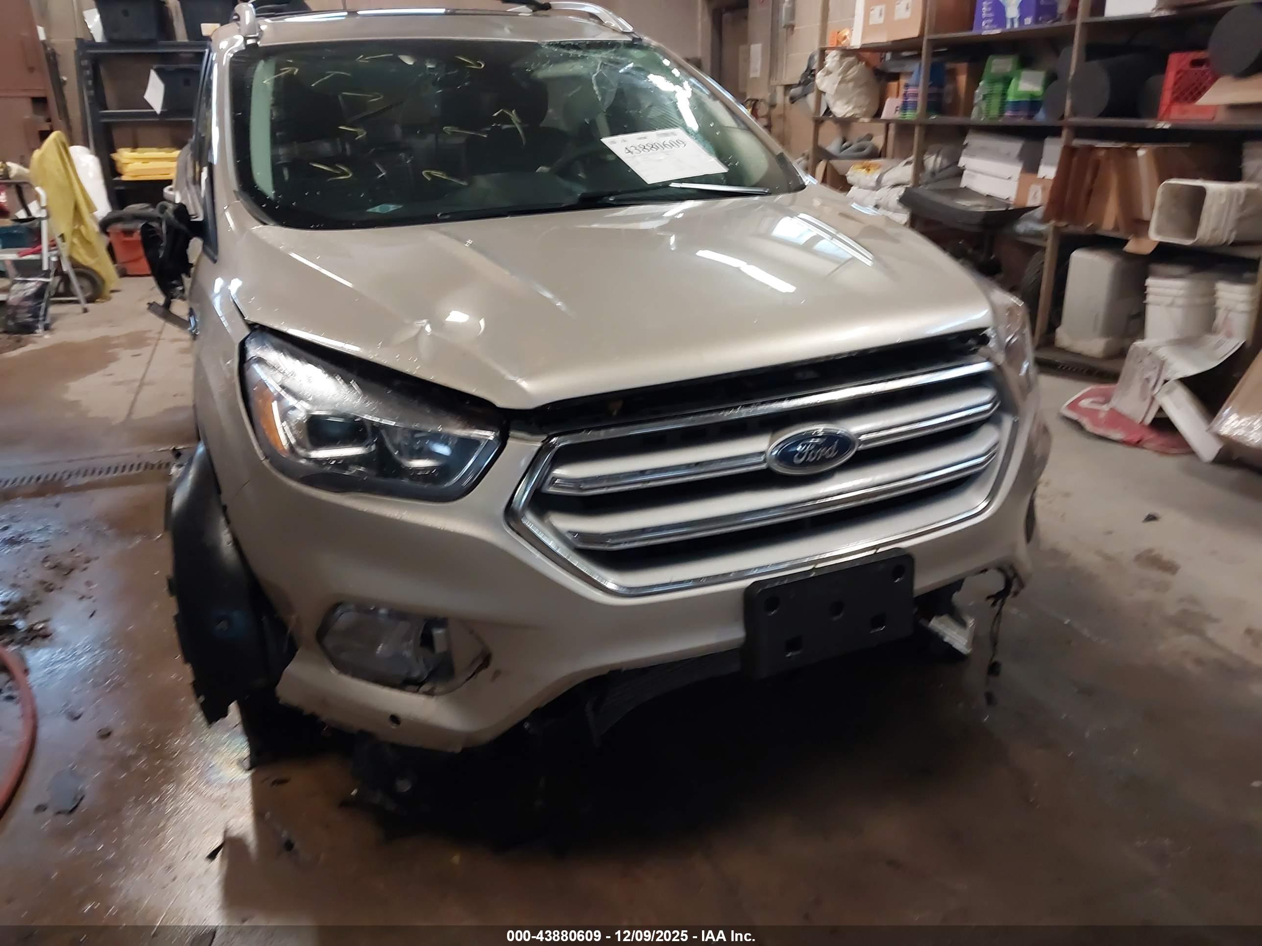 FORD ESCAPE image 6