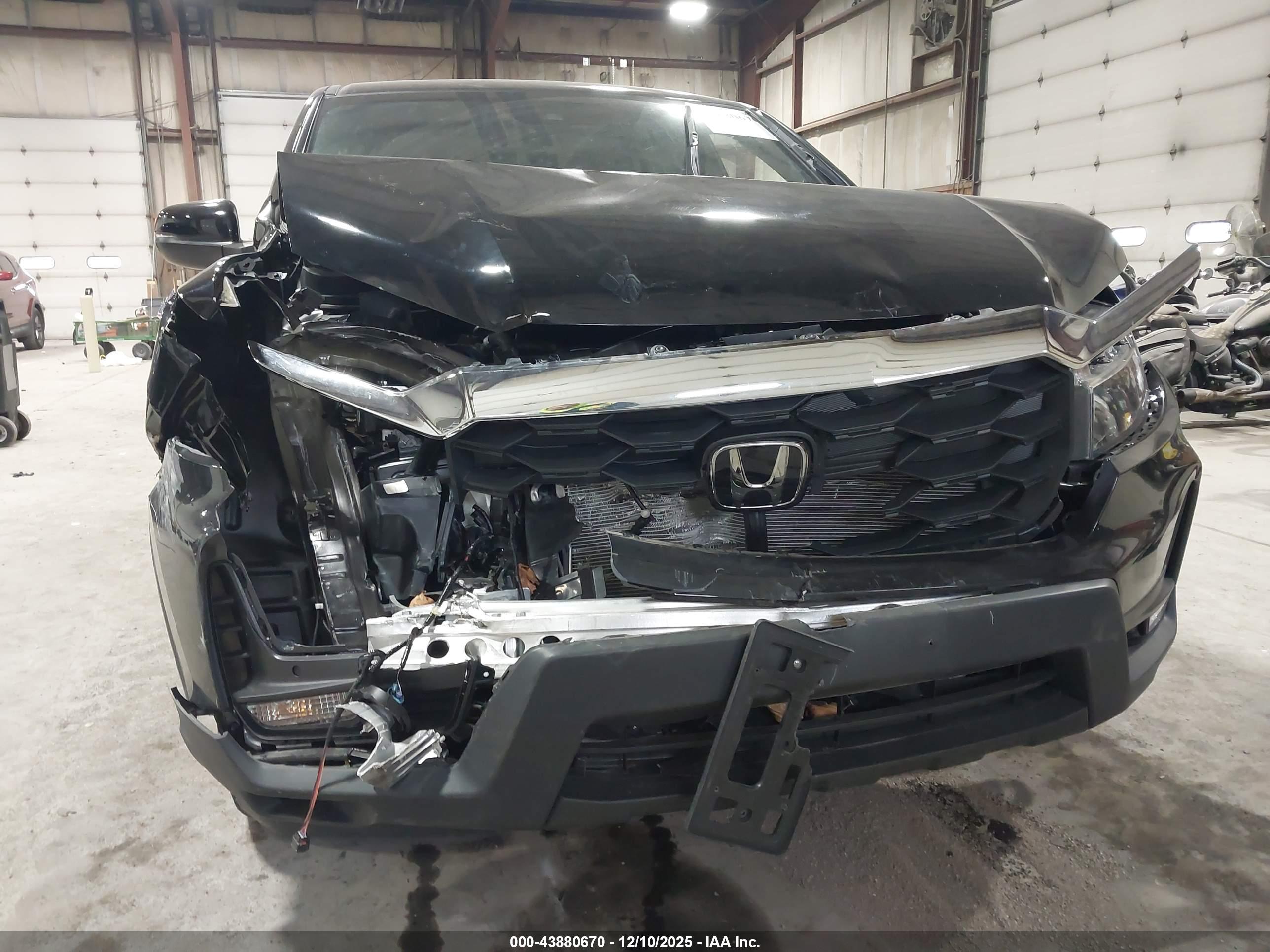 HONDA PASSPORT image 6